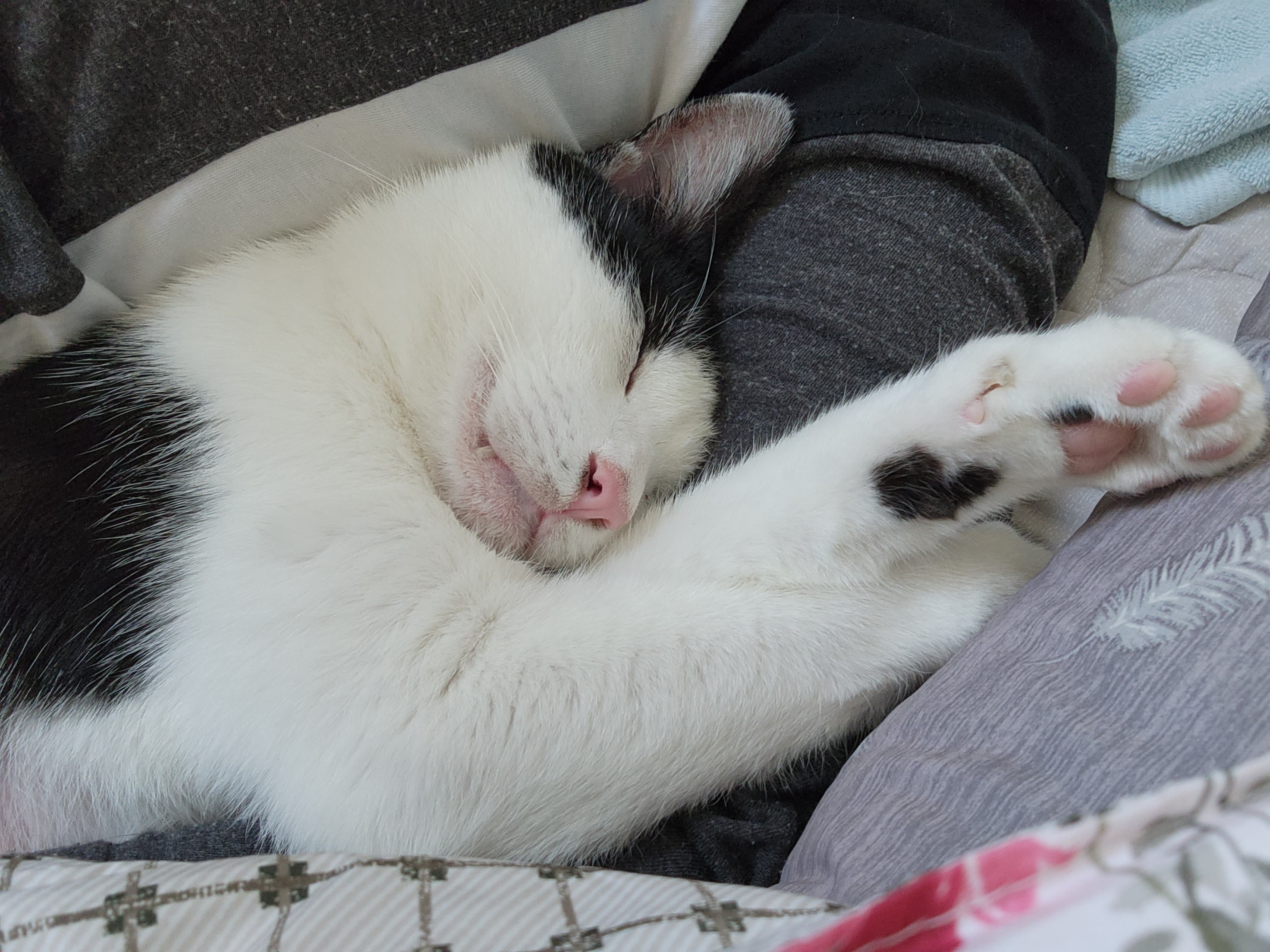 5월 새싹이네입니다