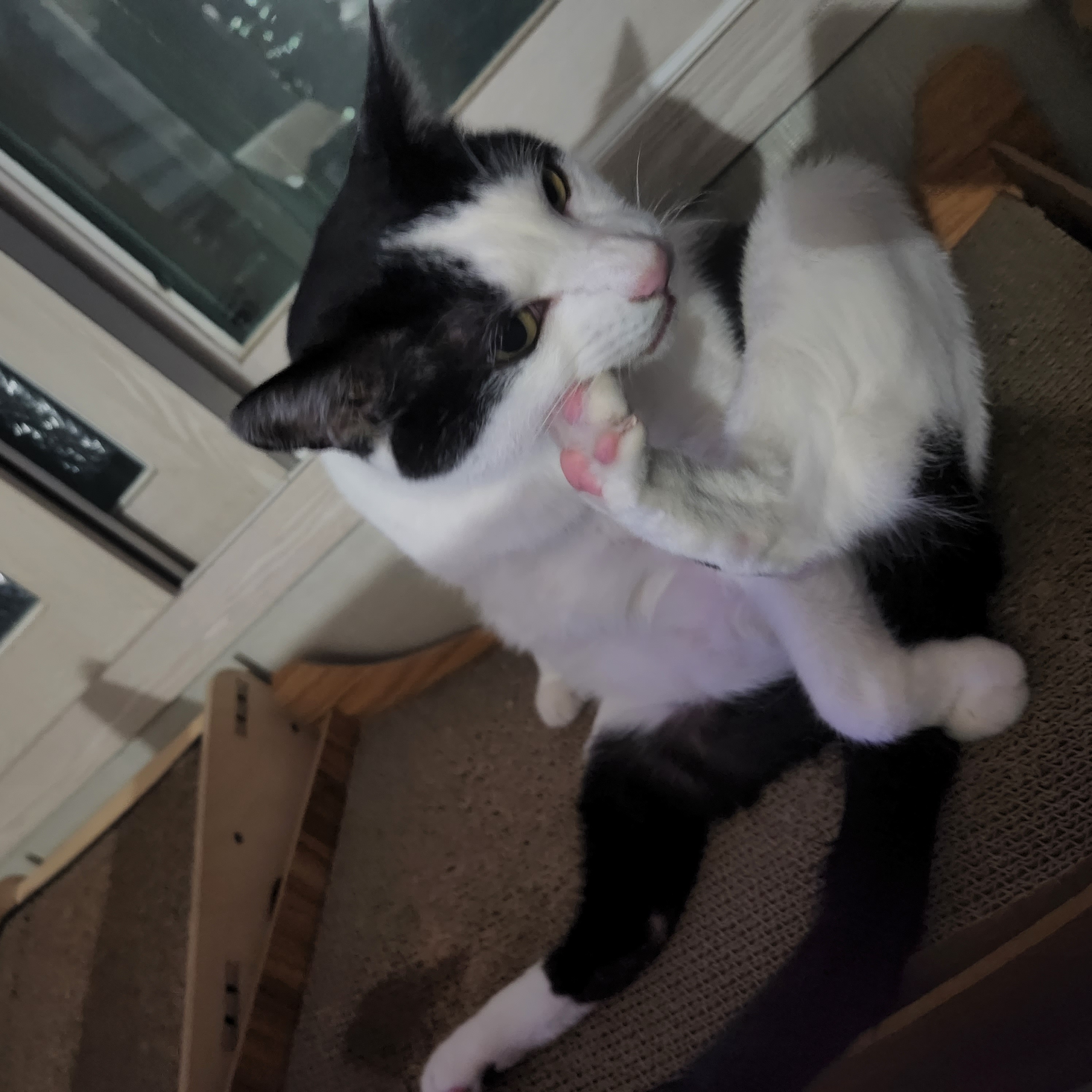 5월 새싹이네입니다