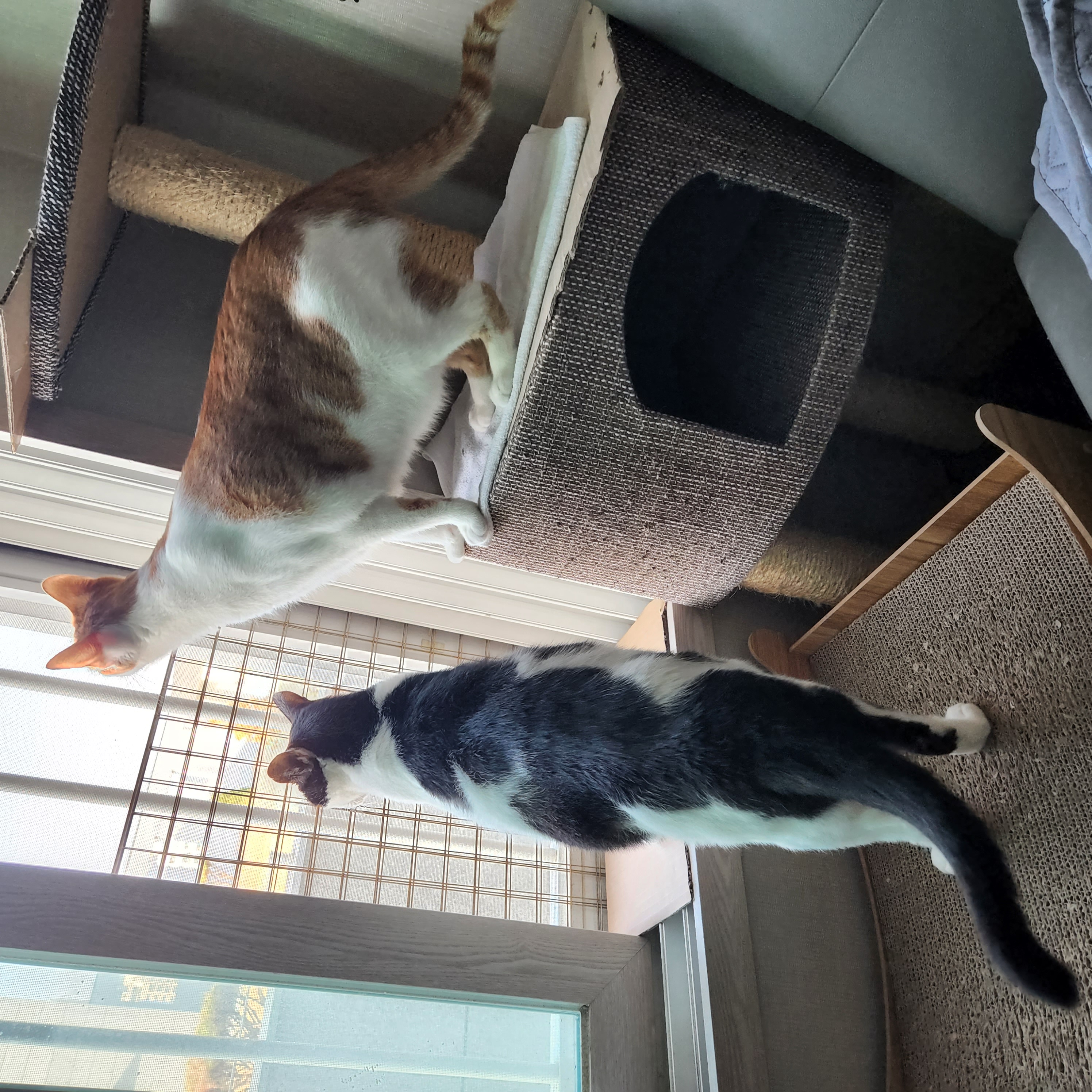 5월 새싹이네입니다