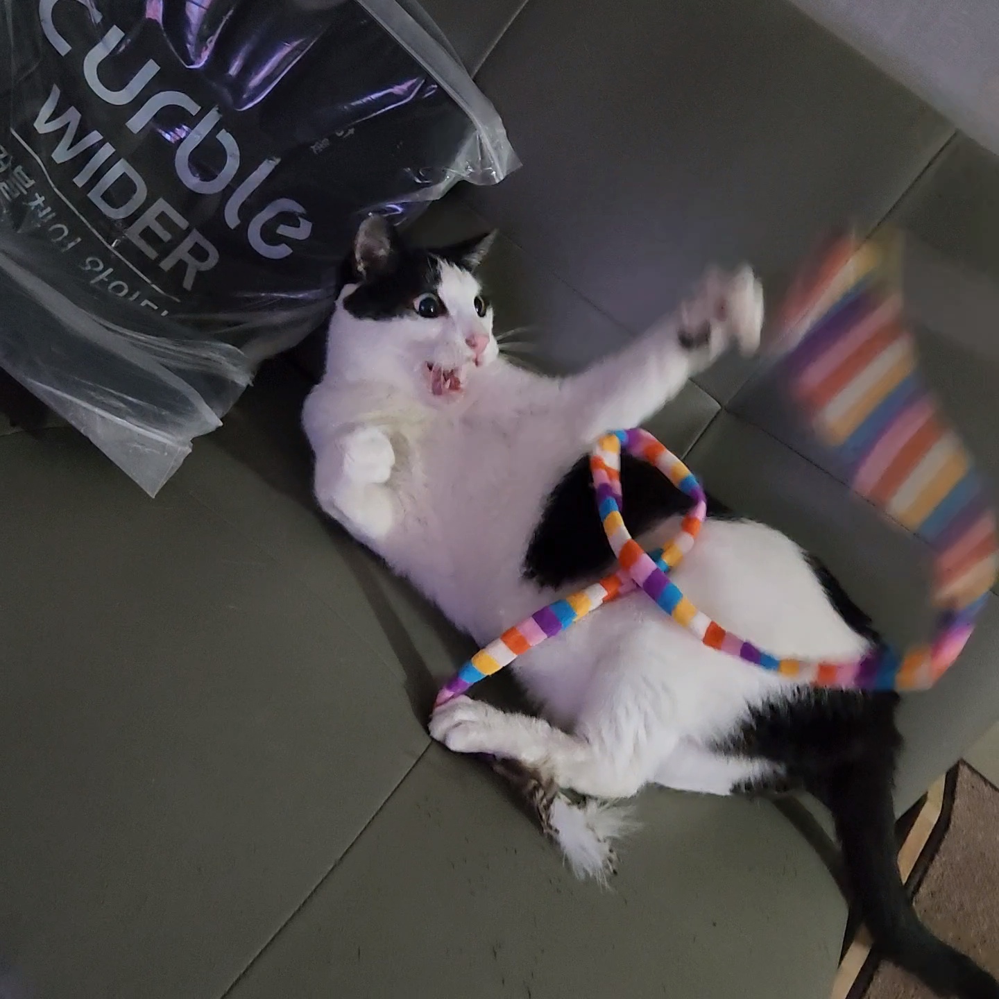 5월 새싹이네입니다