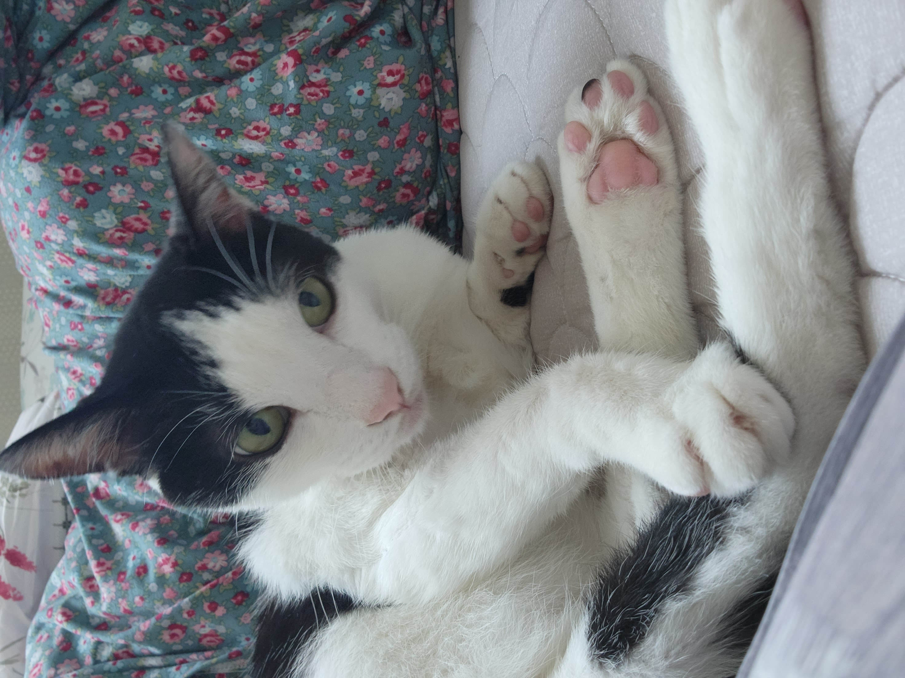 5월 새싹이네입니다