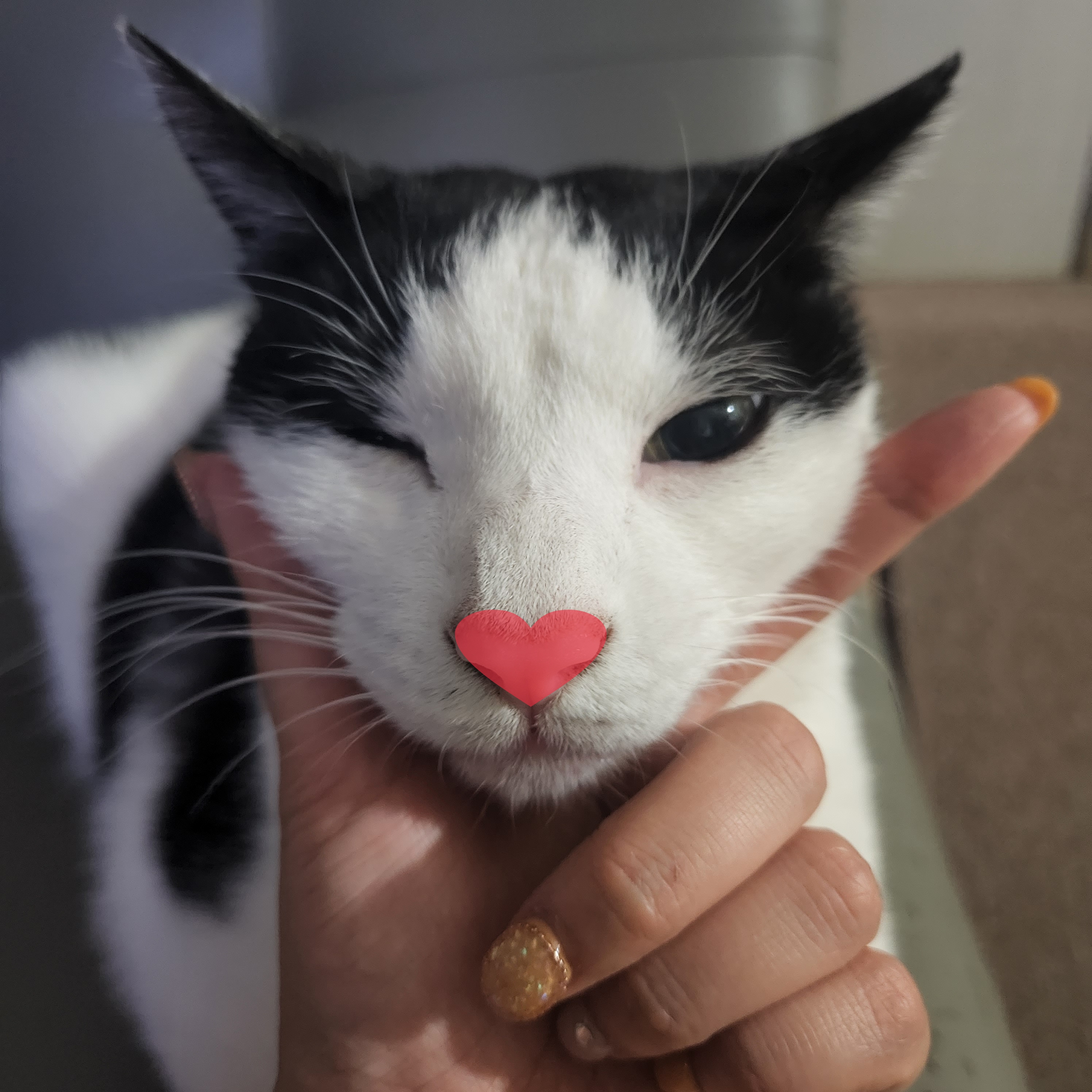 5월 새싹이네입니다