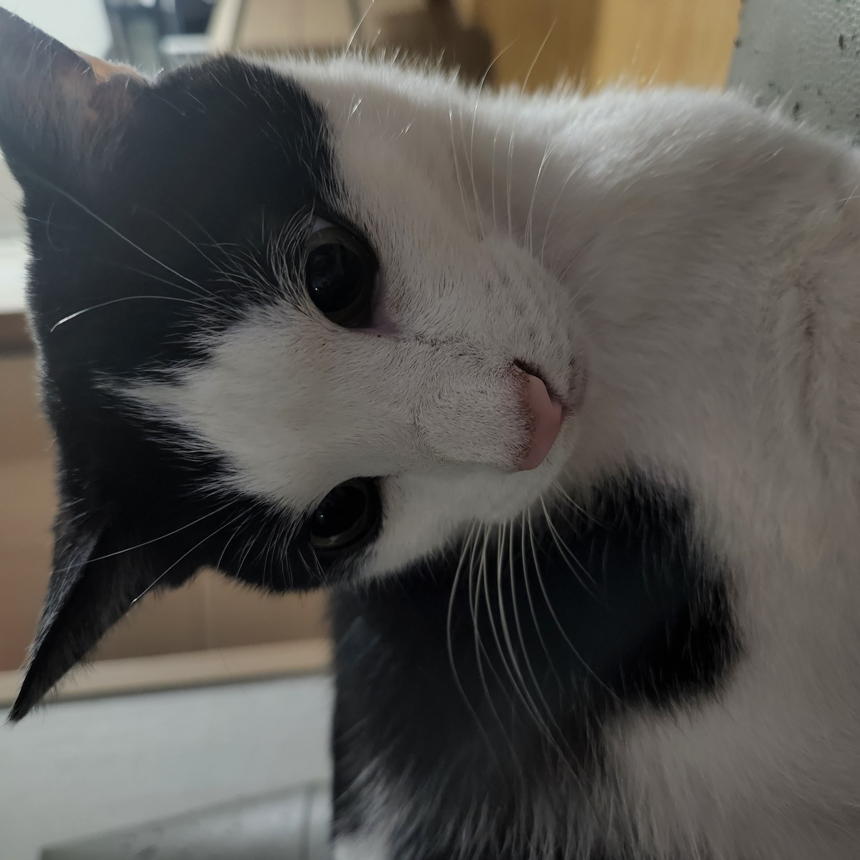 5월 새싹이네입니다