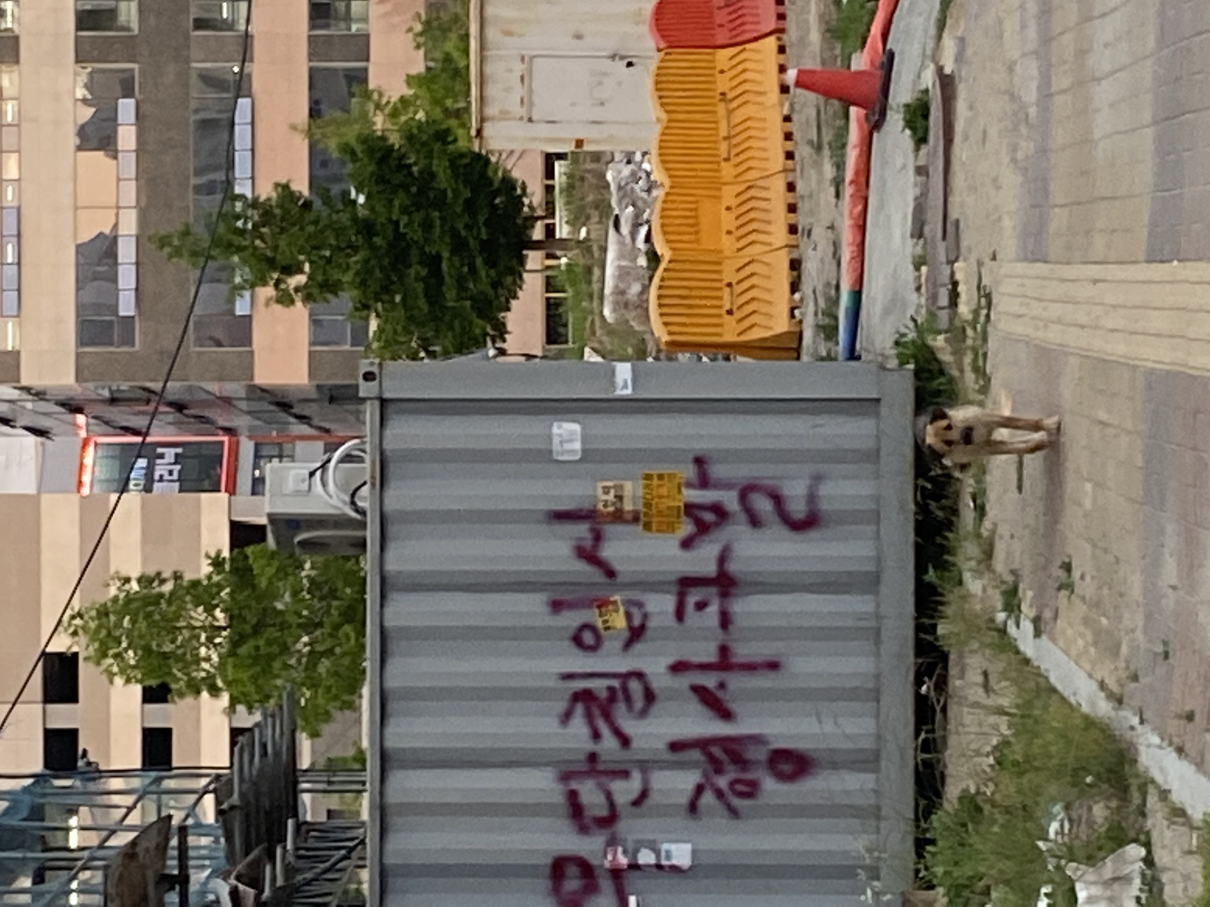 학대는 아니지만 떠돌이 개가 있어서요