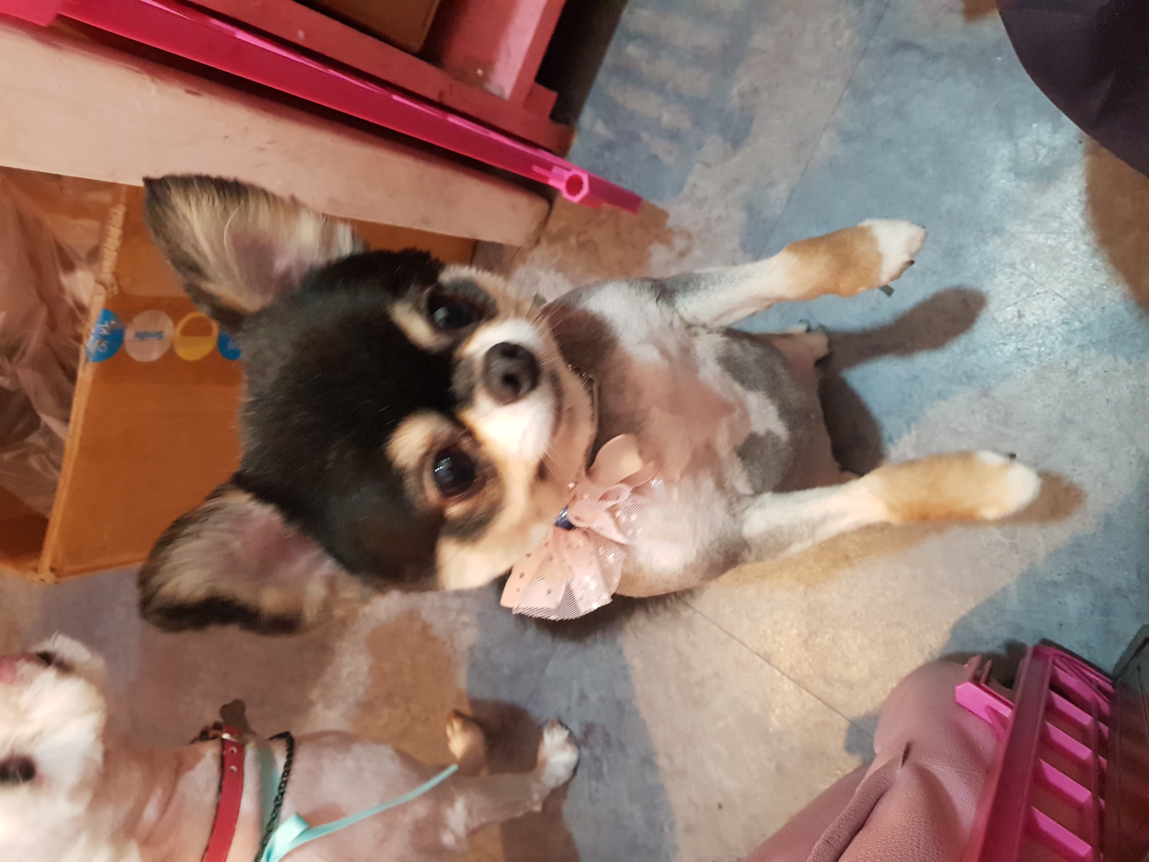 젤리 이사하였습니다