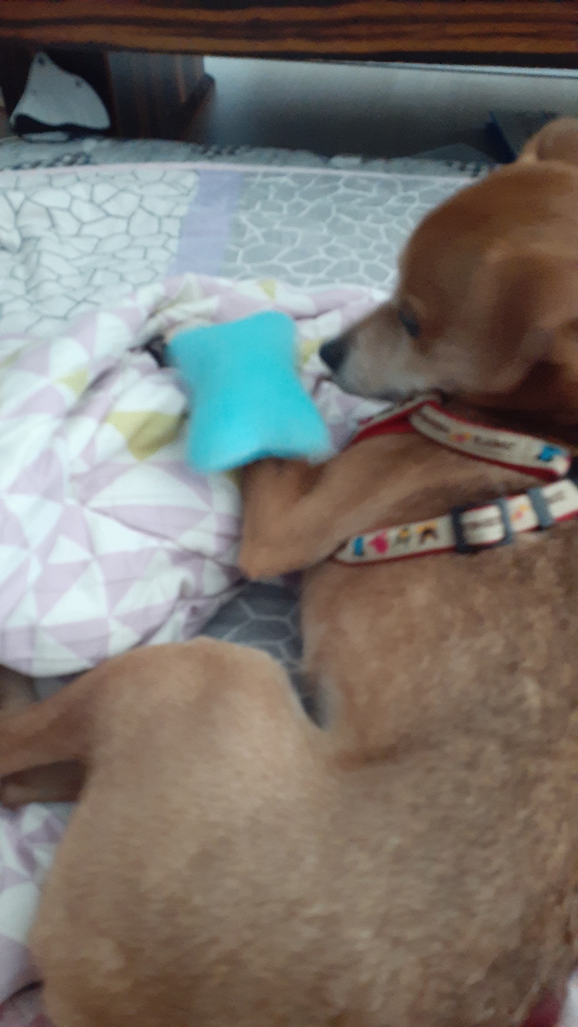 다온이 소식전해요~