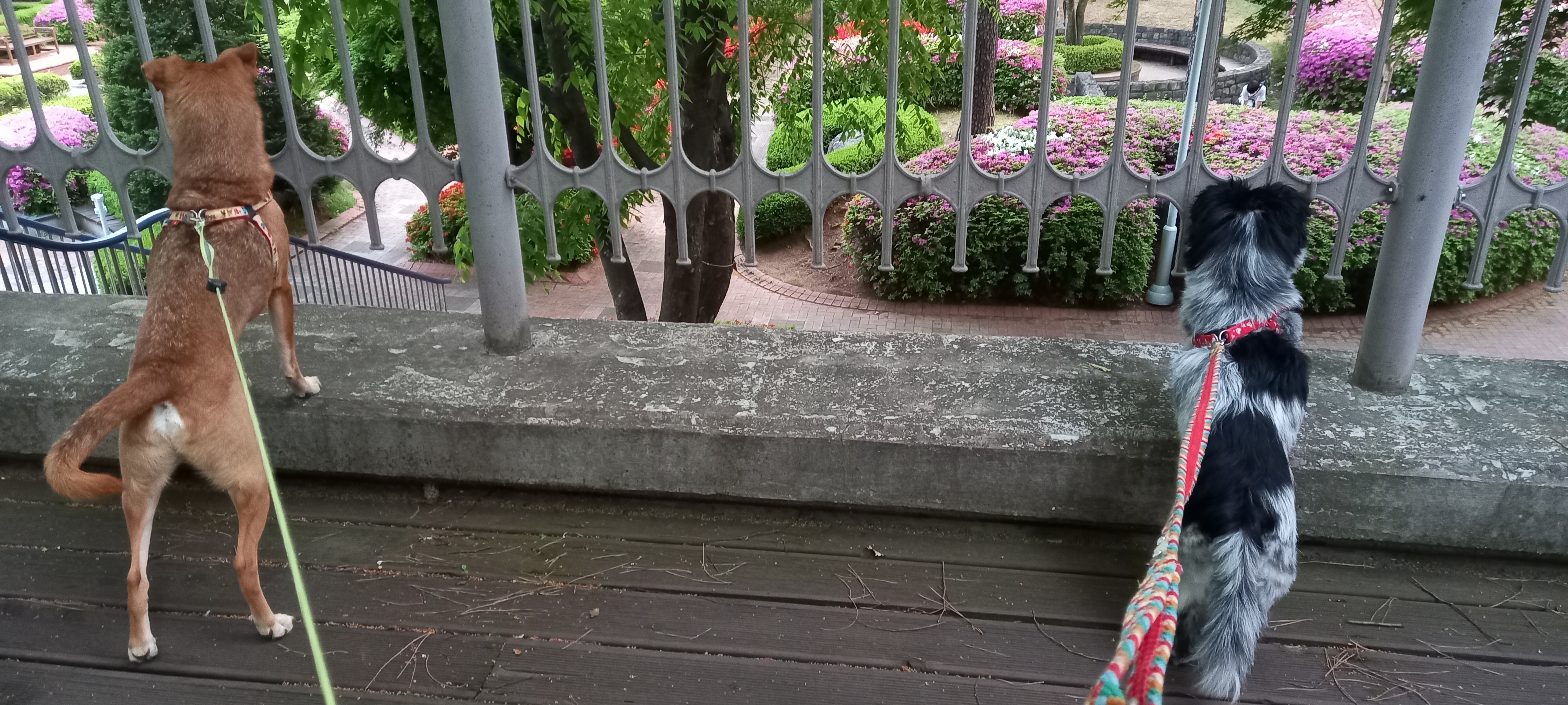 다온이 소식전해요~