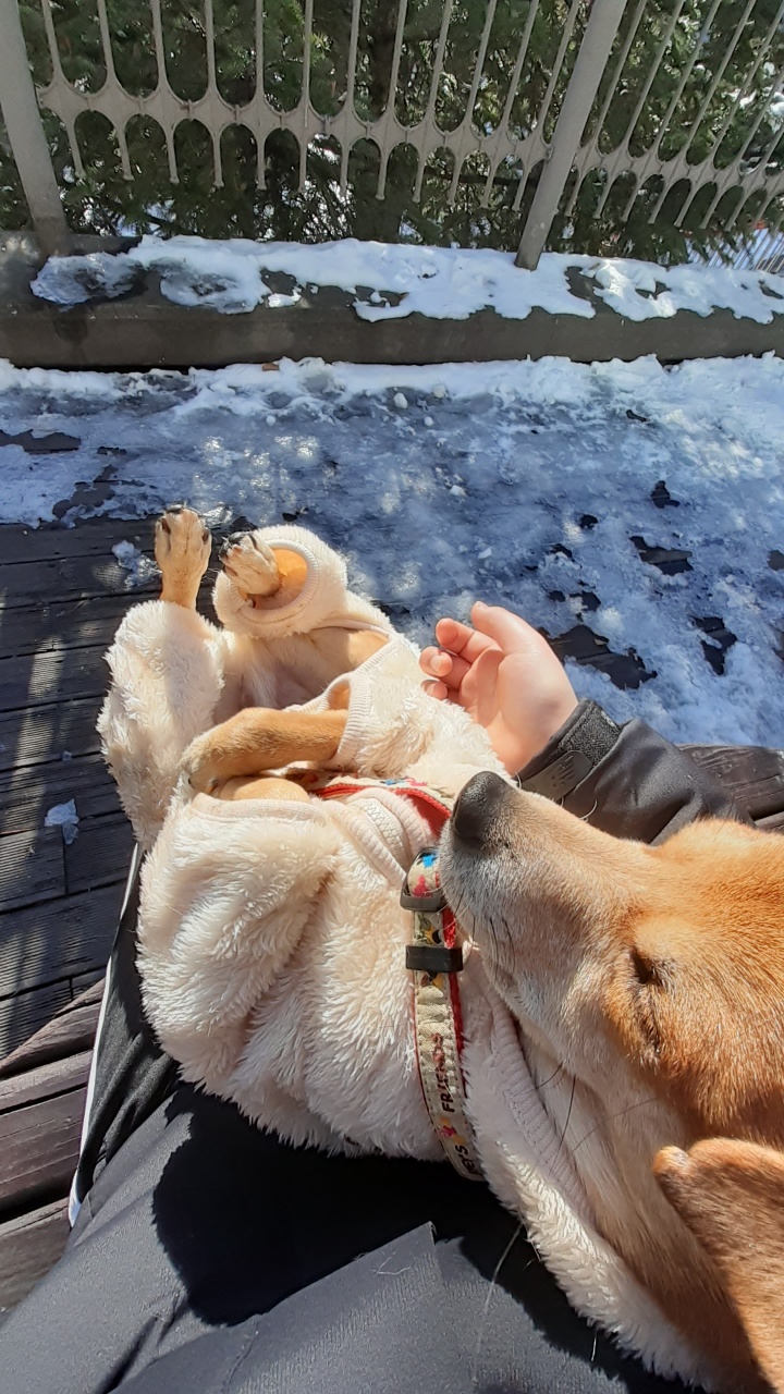 다온이 소식전해요~