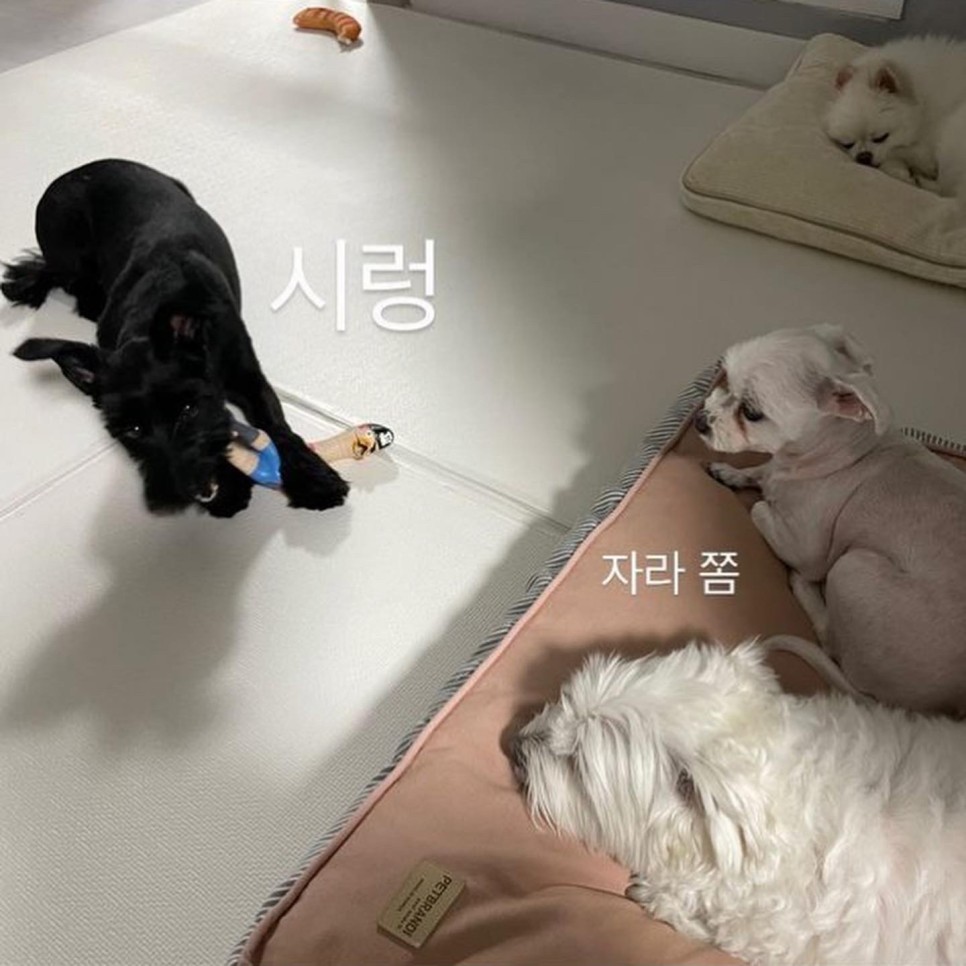 댄과 함께한 시간 3개월 :)