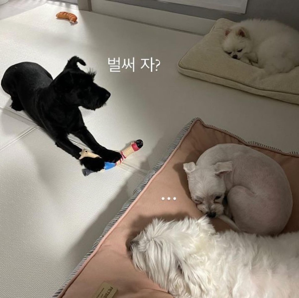 댄과 함께한 시간 3개월 :)