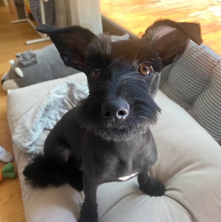 댄과 함께한 시간 3개월 :)