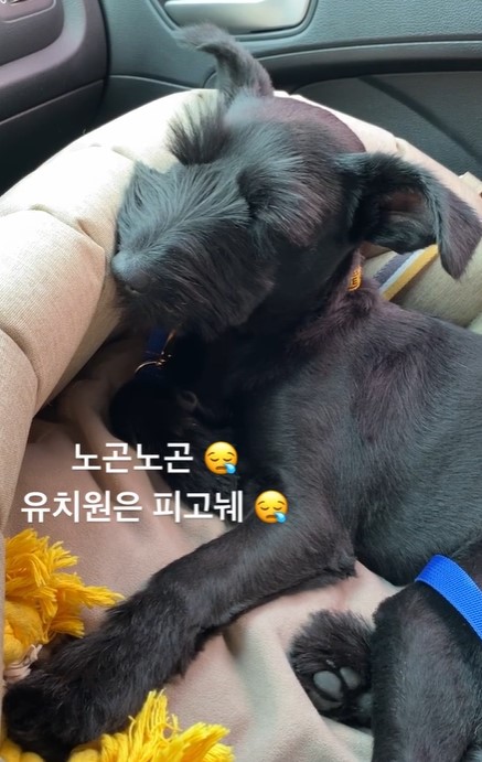 댄과 함께한 시간 3개월 :)