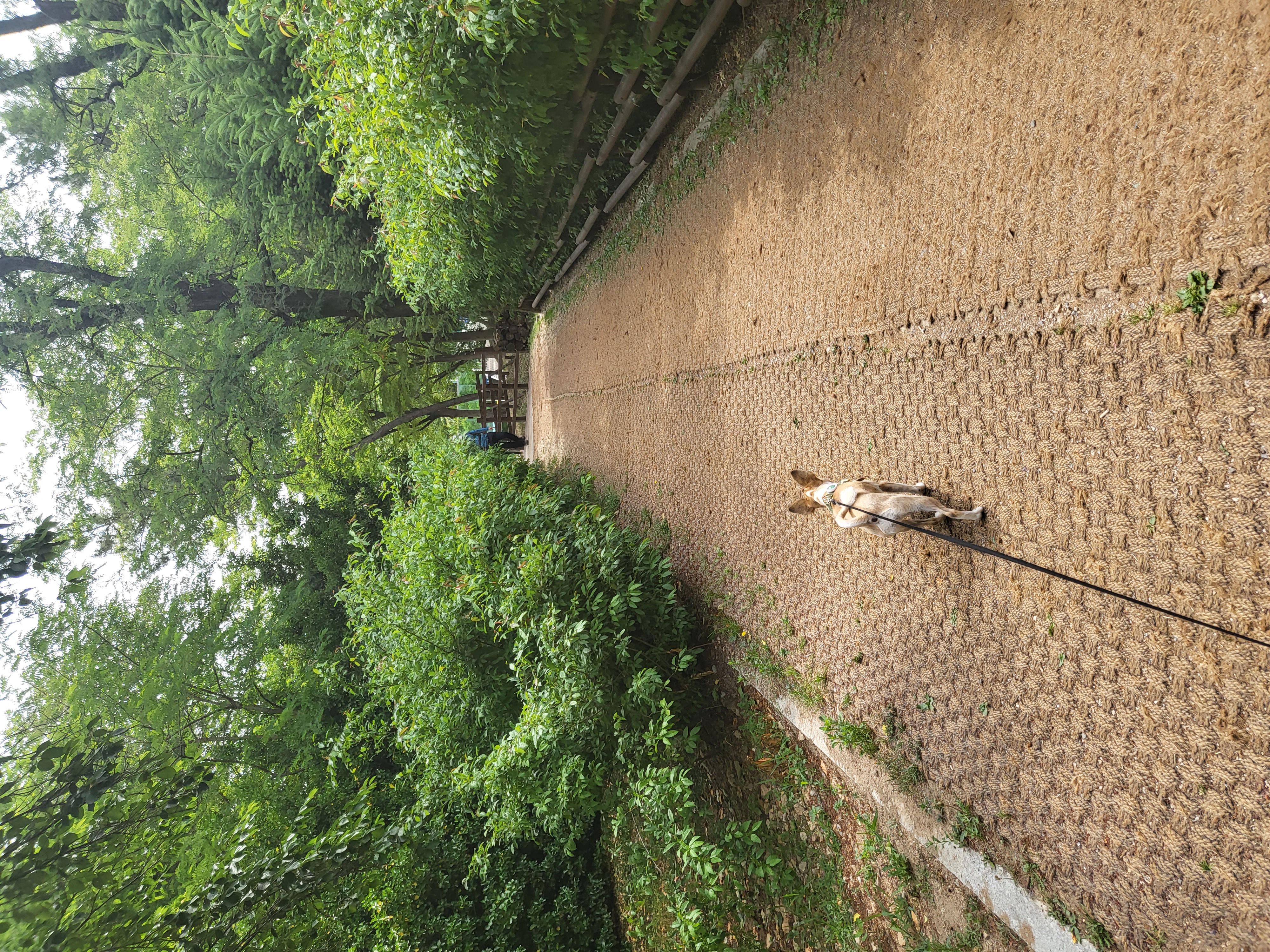 벼리(은오)와함께한지벌써