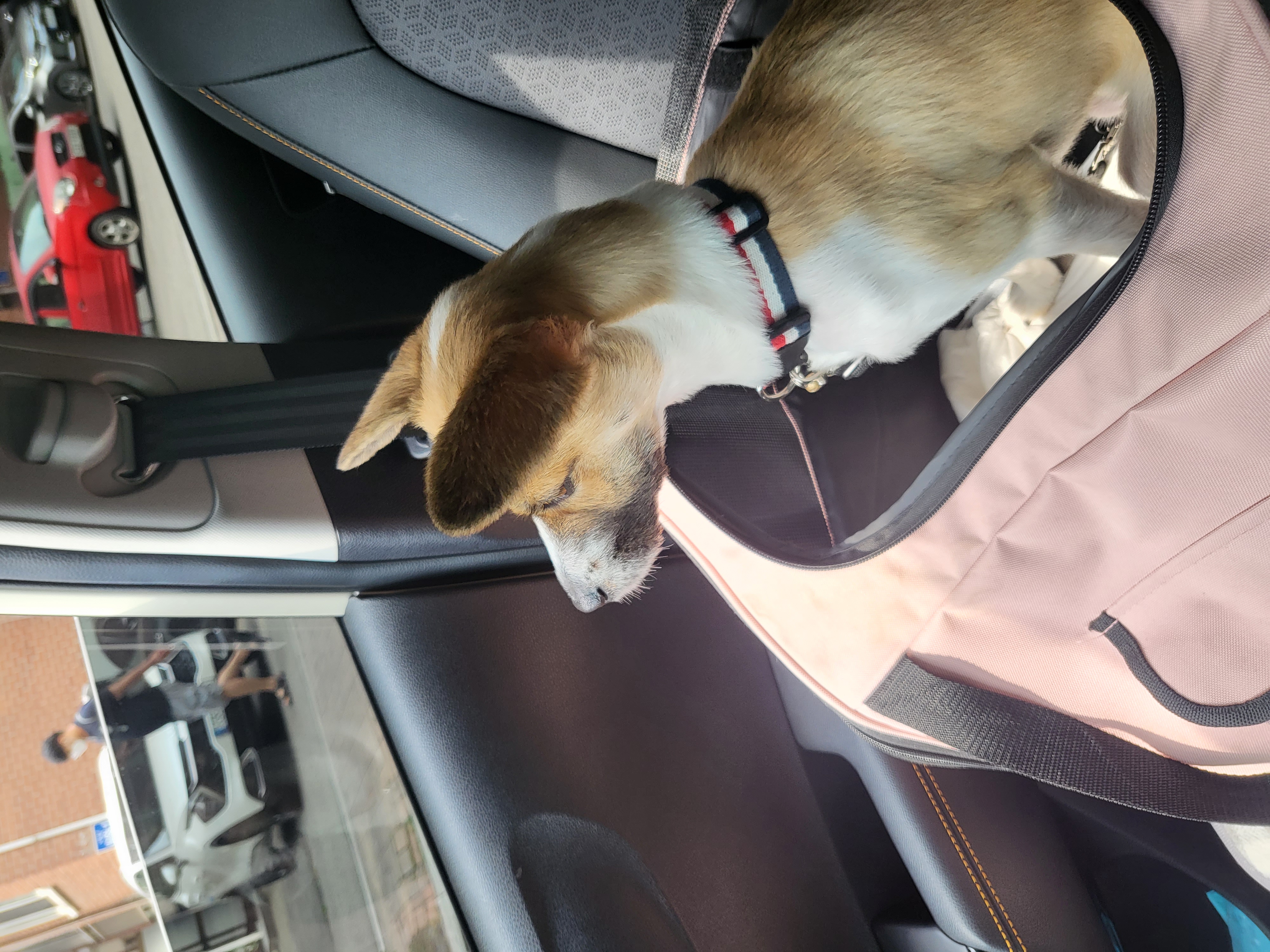 벼리(은오)와함께한지벌써