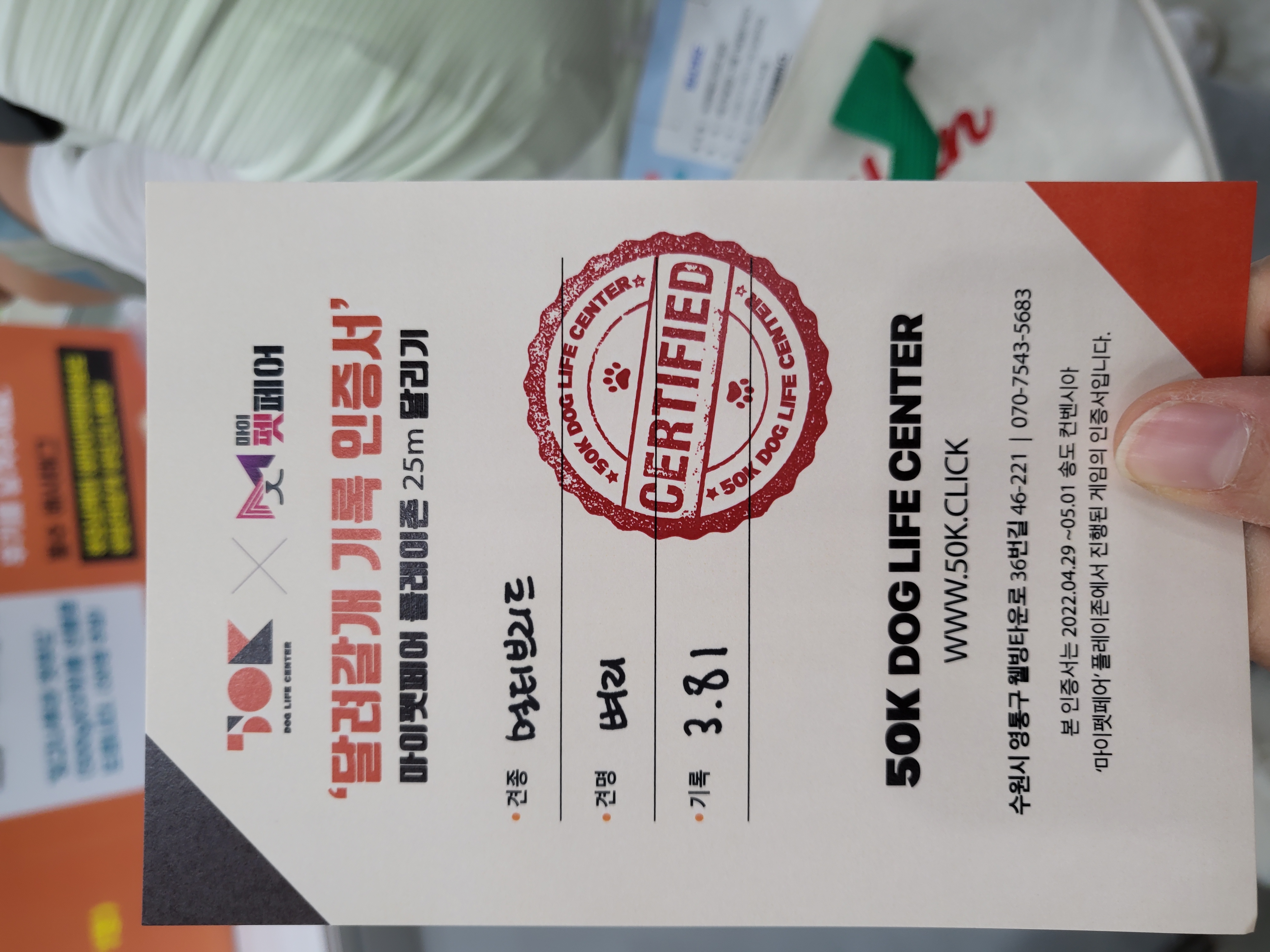 벼리(은오)와함께한지벌써