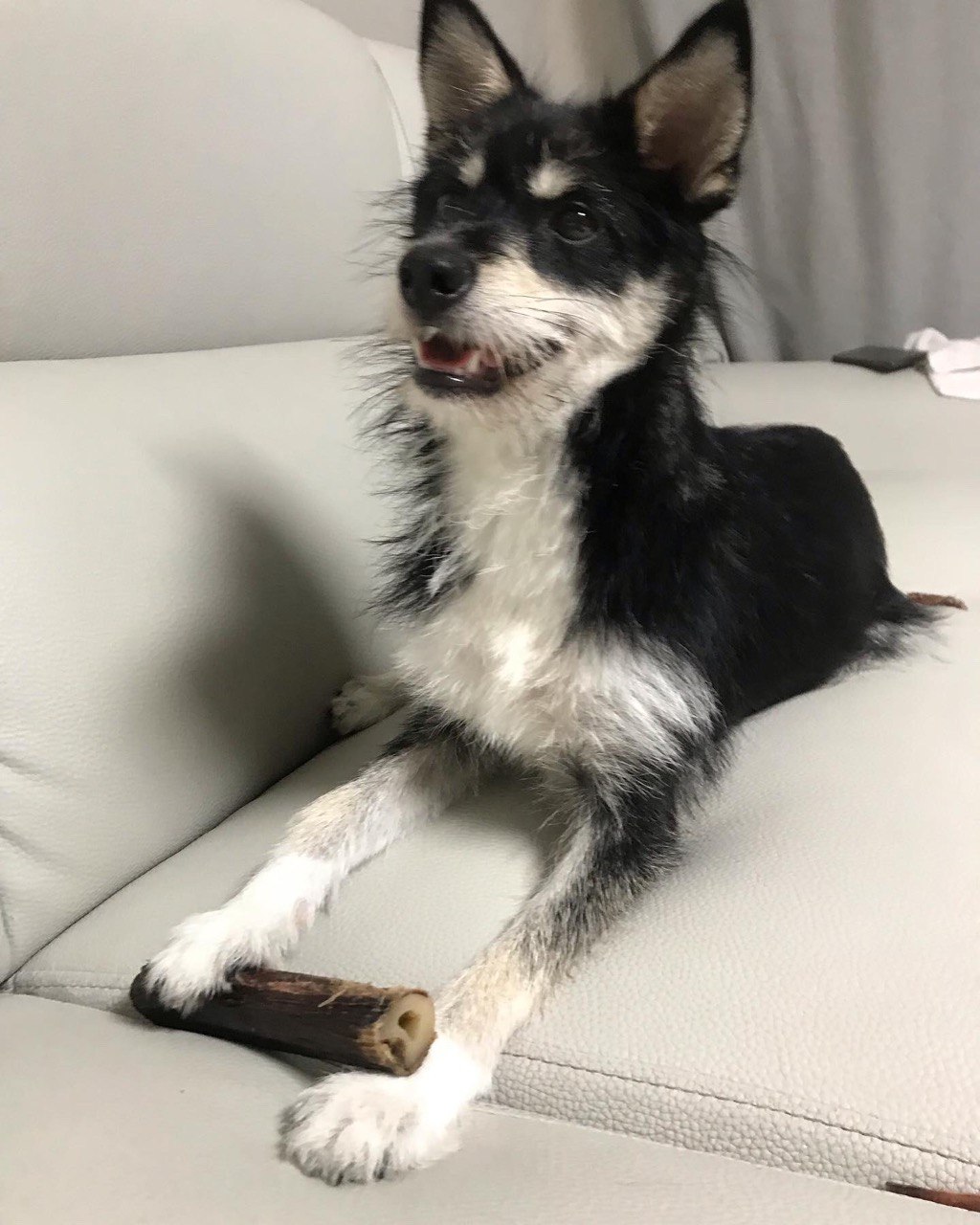 두송이와 함께 한달!