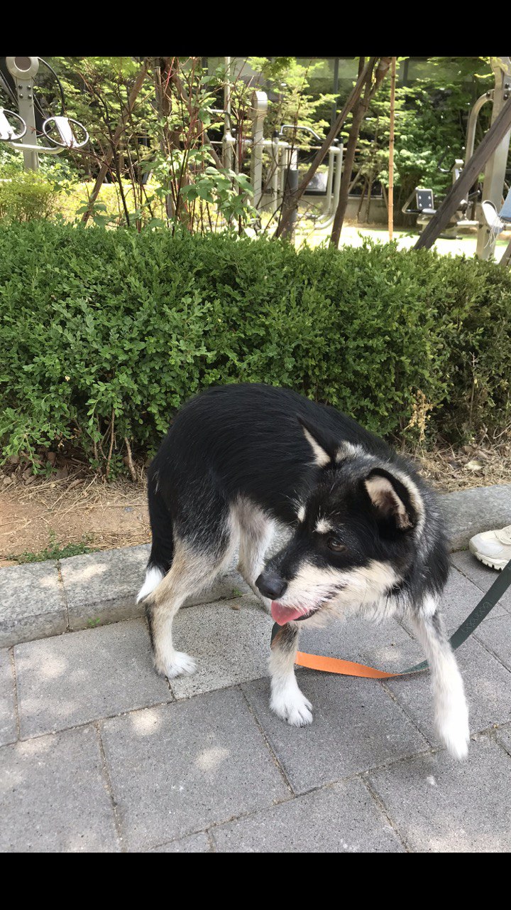 두송이와 함께 한달!