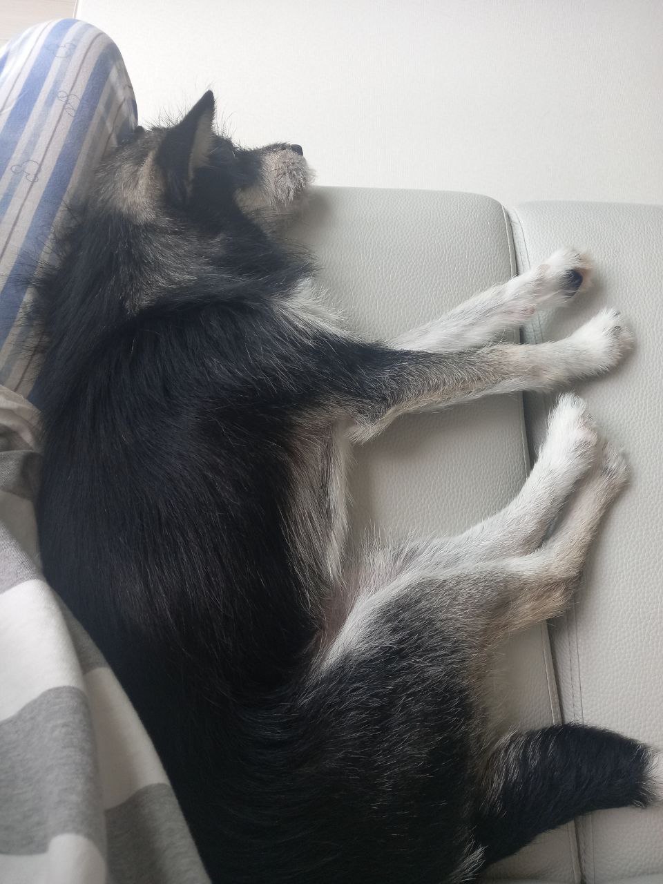 두송이와 함께 한달!