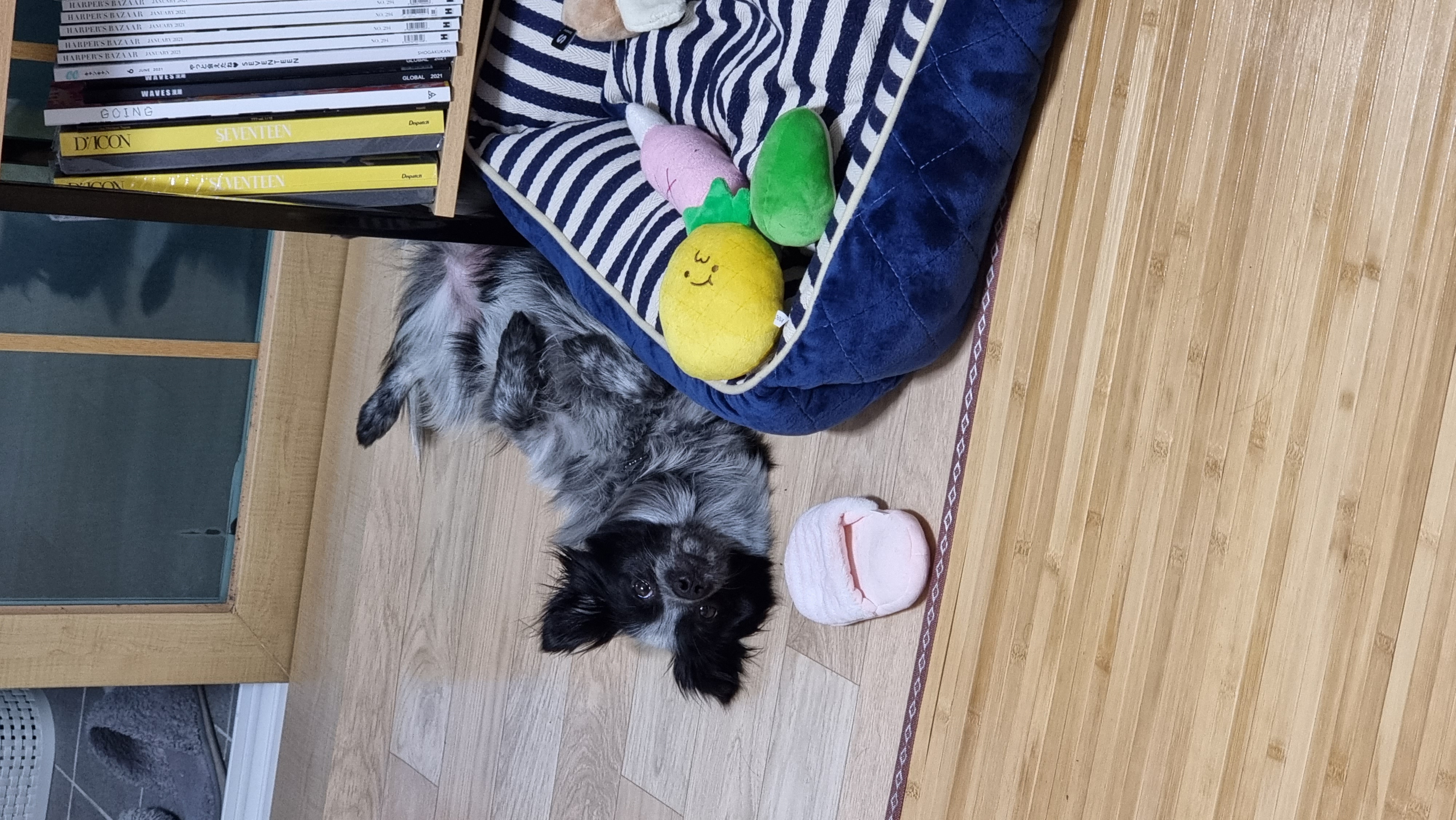 크루가 온 지 일주일