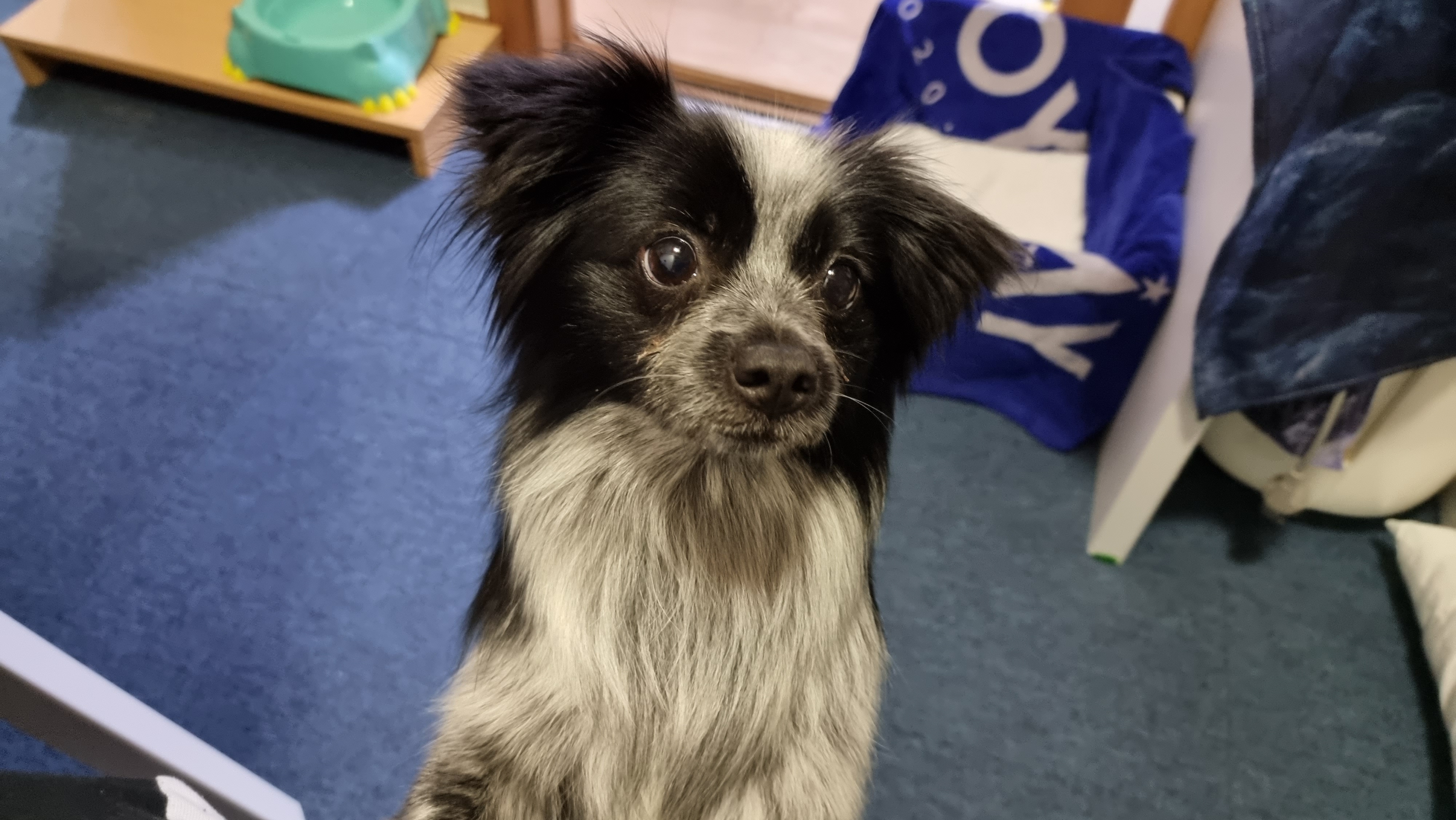 크루가 온 지 일주일