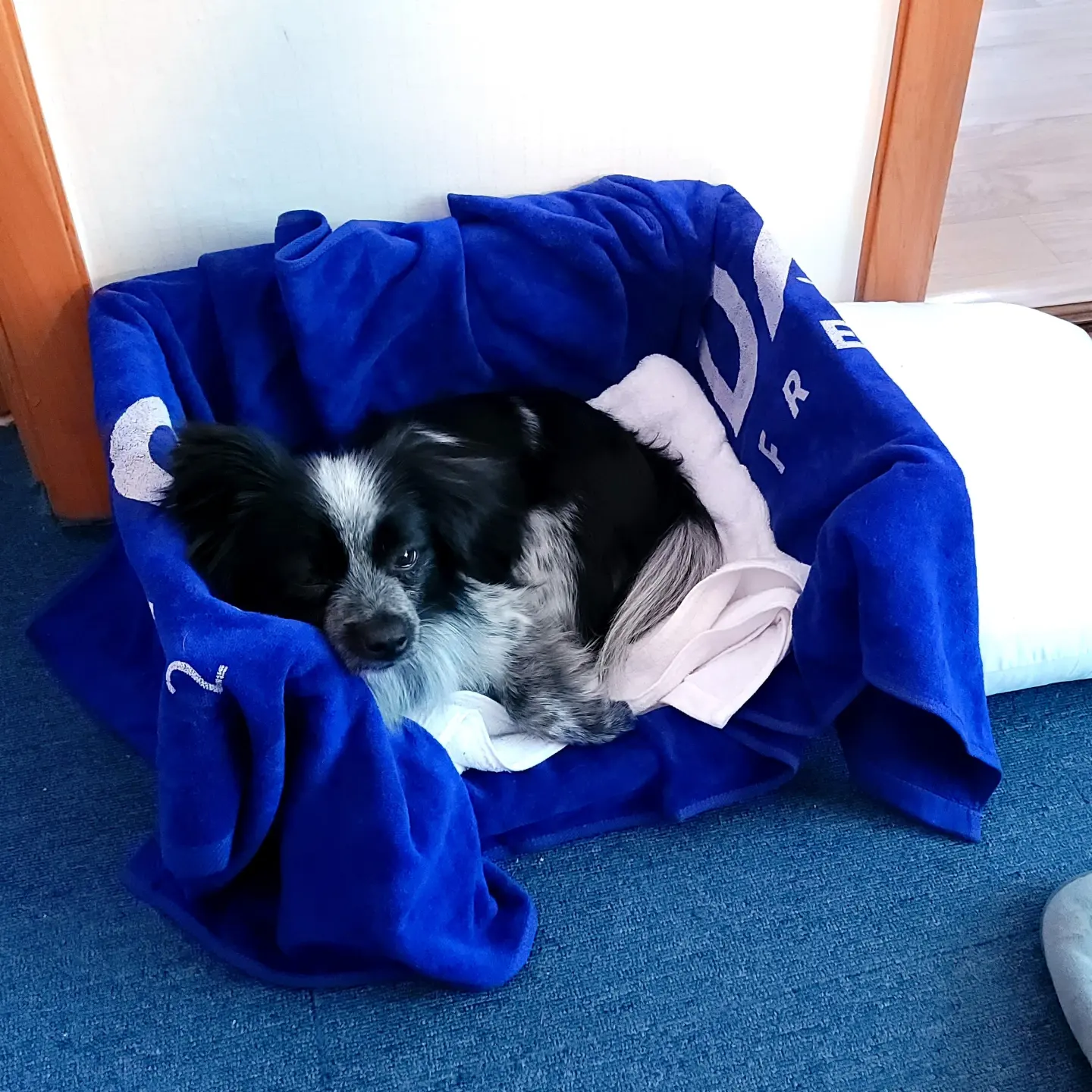 크루가 온 지 일주일