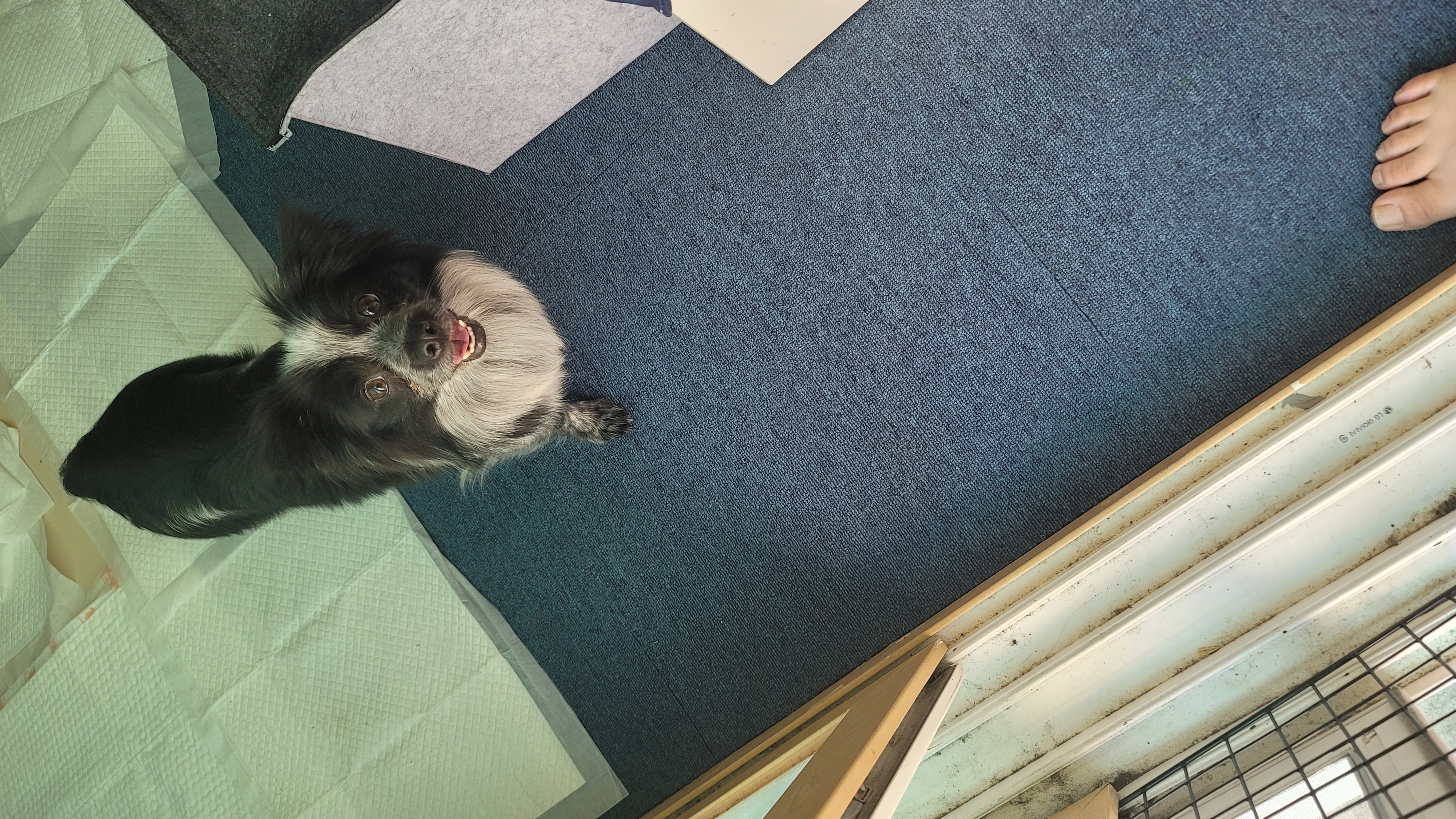 크루가 온 지 일주일