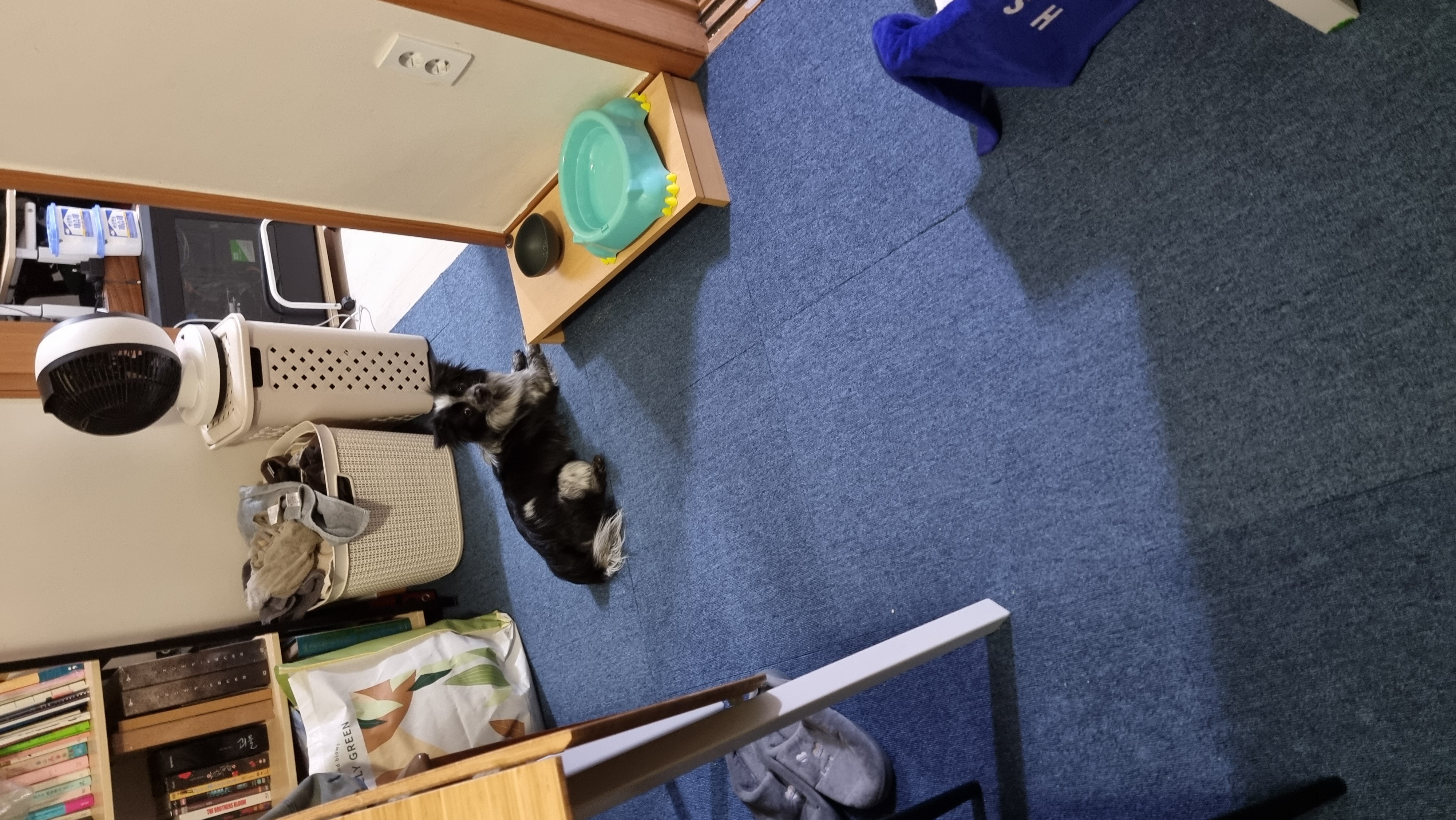 크루가 온 지 일주일