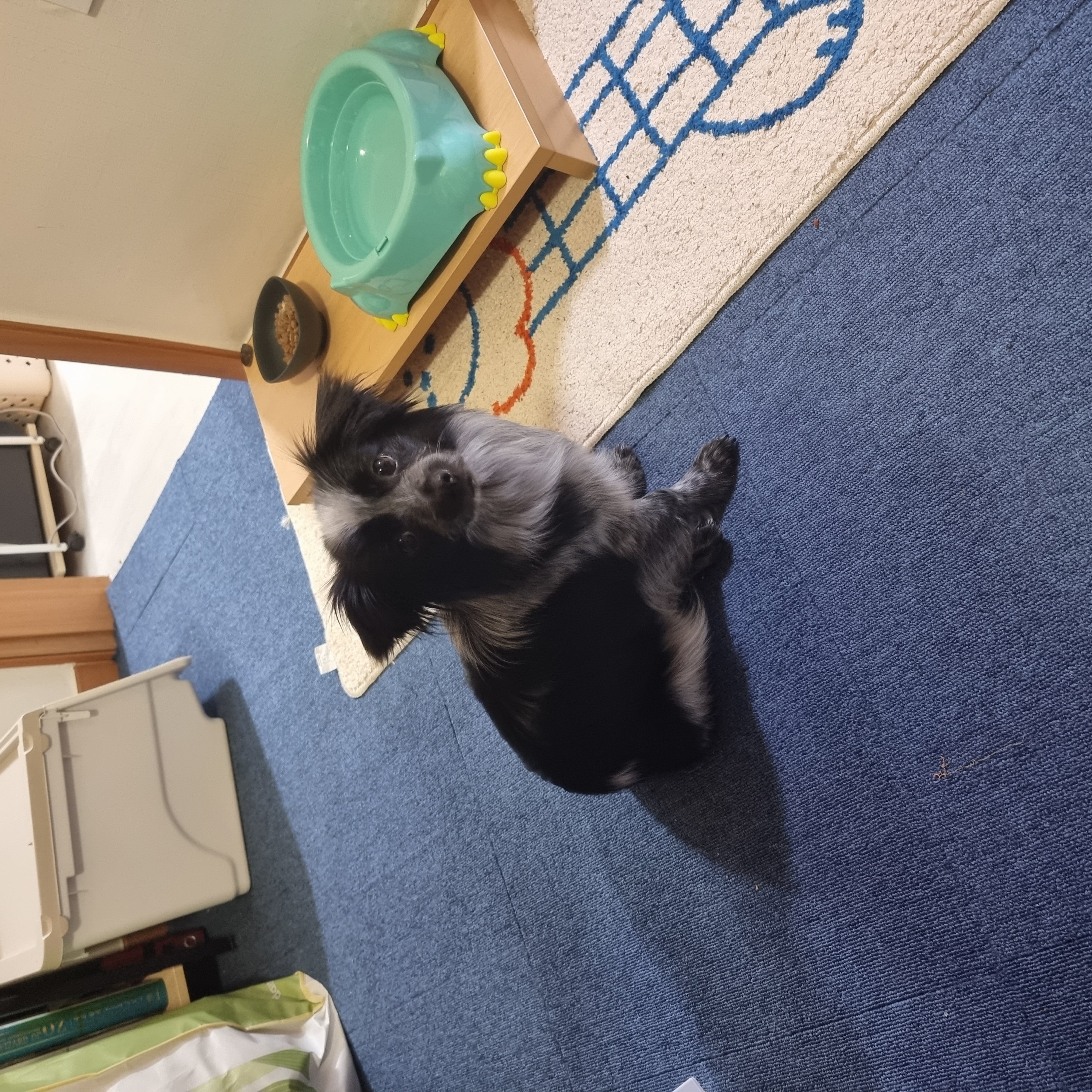 크루가 온 지 일주일