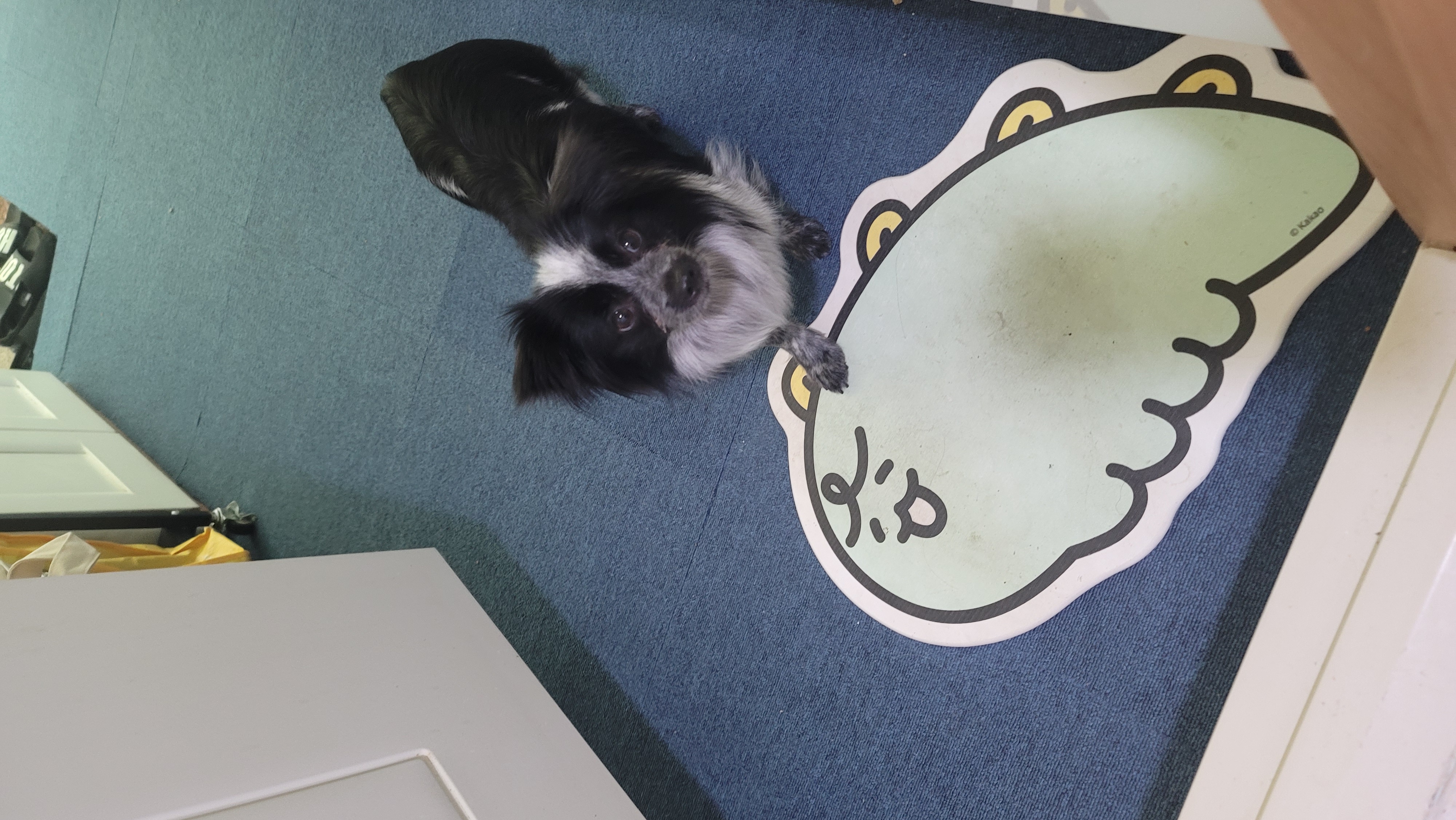 크루가 온 지 일주일