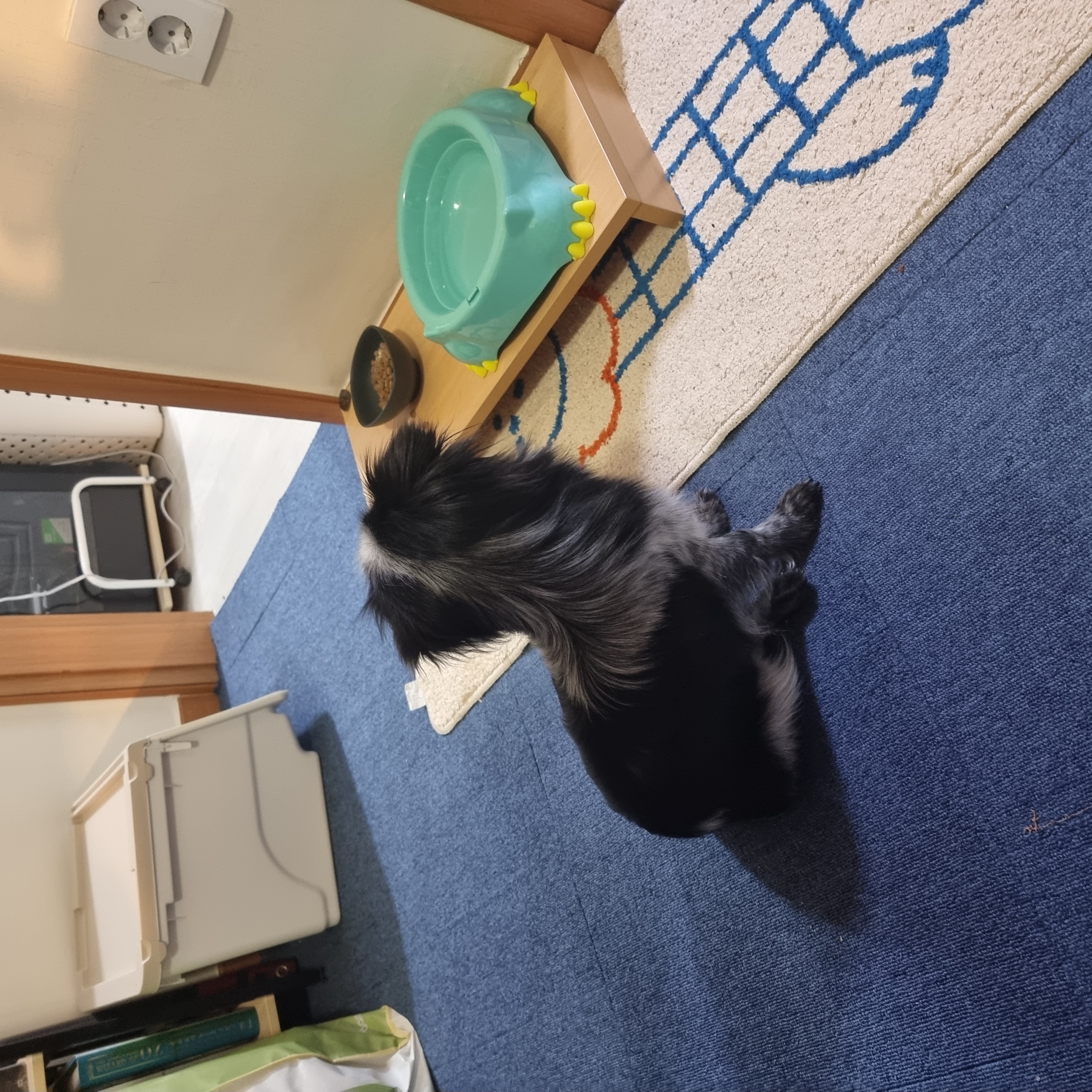 크루가 온 지 일주일