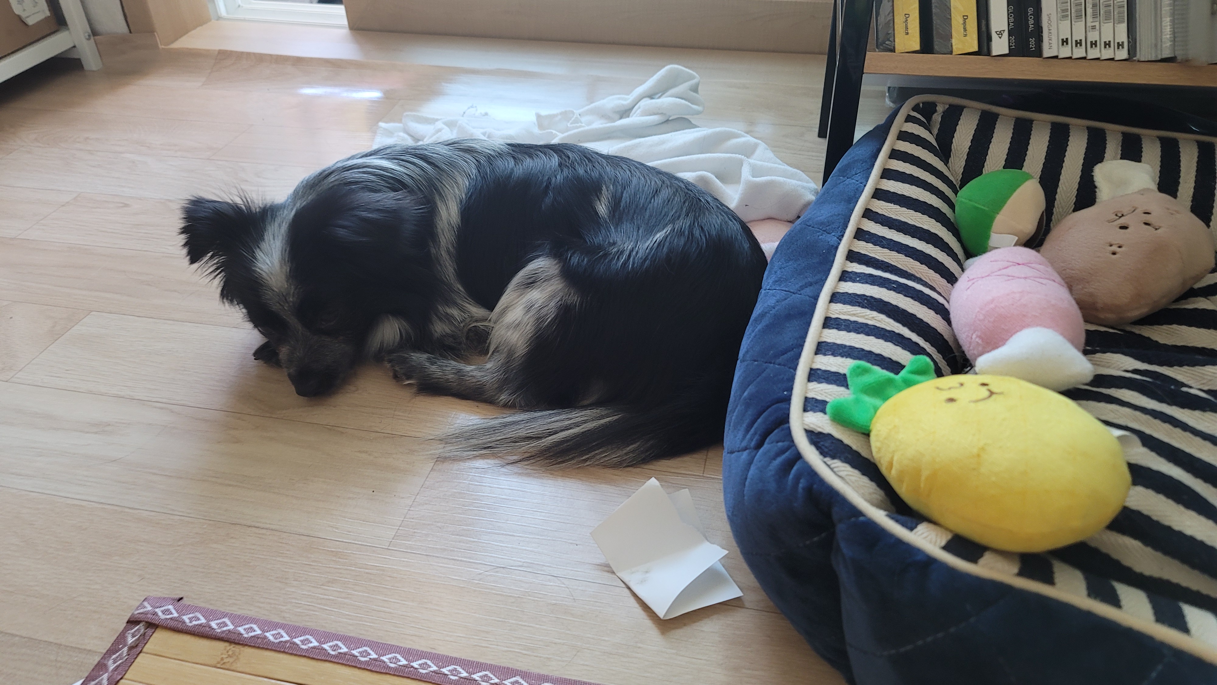 크루가 온 지 일주일