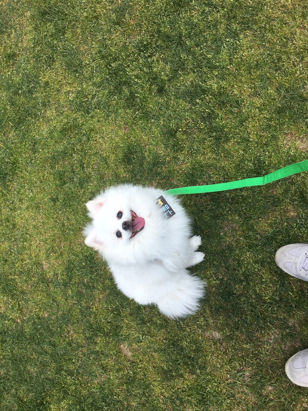 토토랑 구름선생 일상