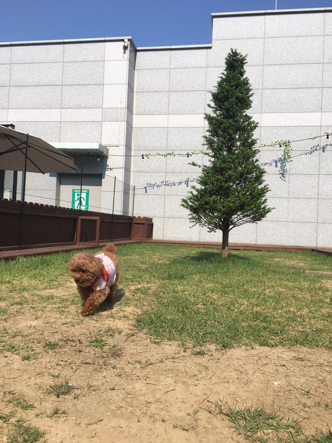 토토랑 구름선생 일상