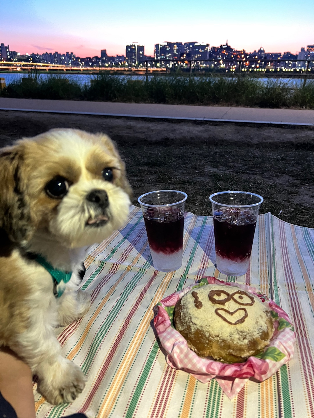 천진이와 112일째