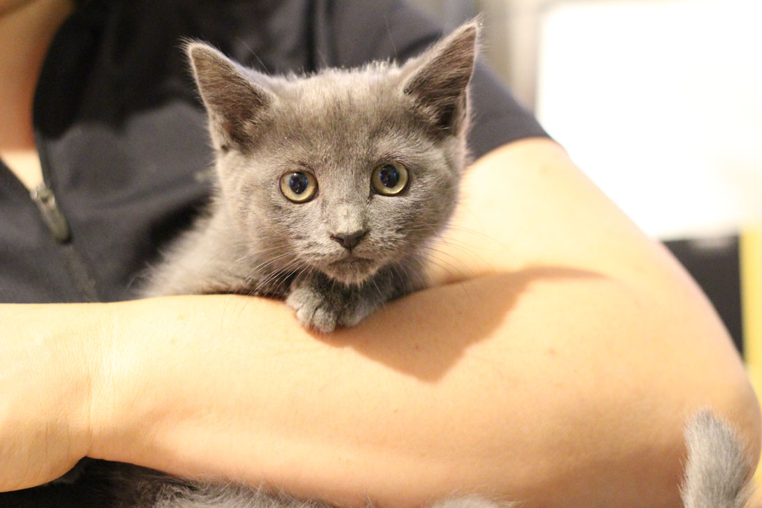 유키(이쁜이) 근황입니다 