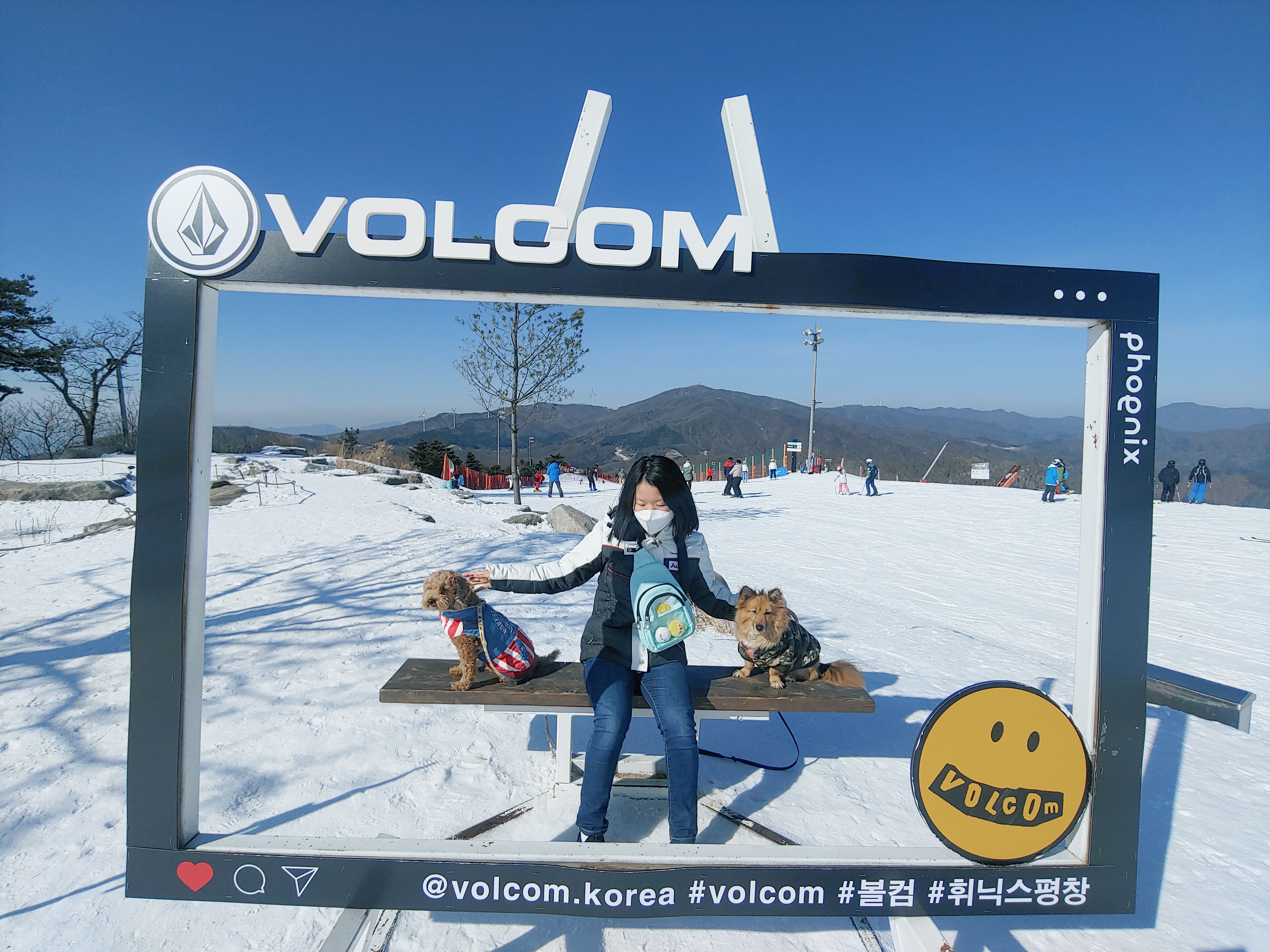 쫑이 입양5주년 후기