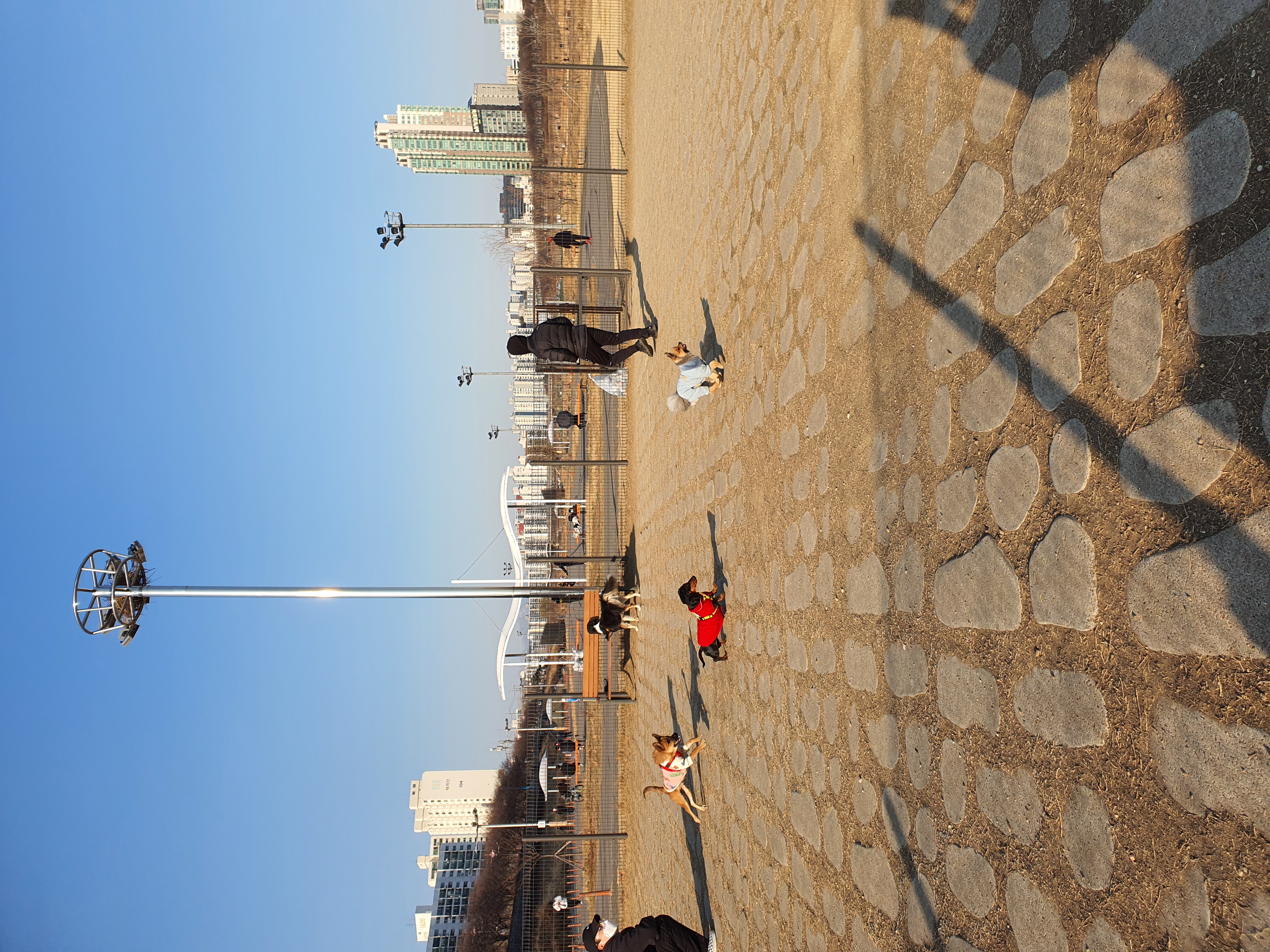 라쿤이 입양 1년