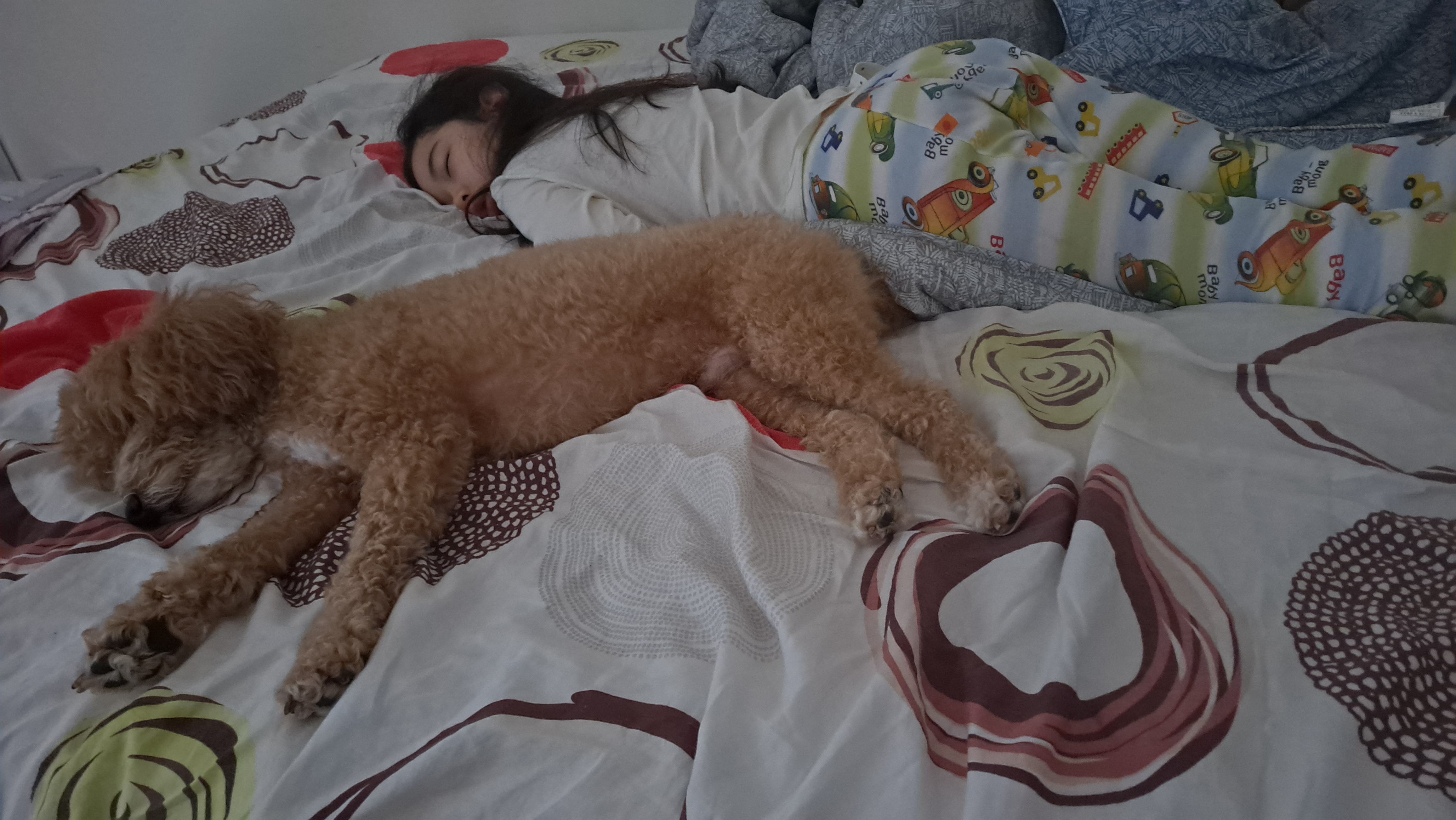 토토입양후기( 예전이름 승지옜던거같아요)