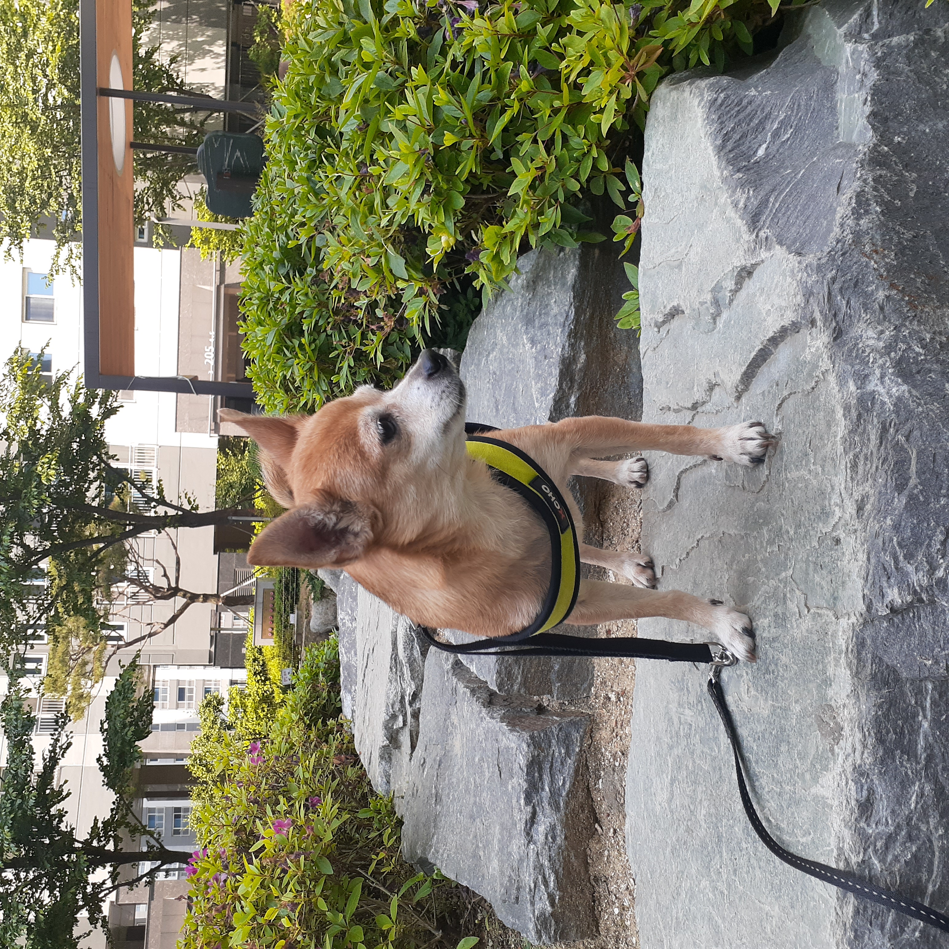 다람이 잘 지내고 있습니다.