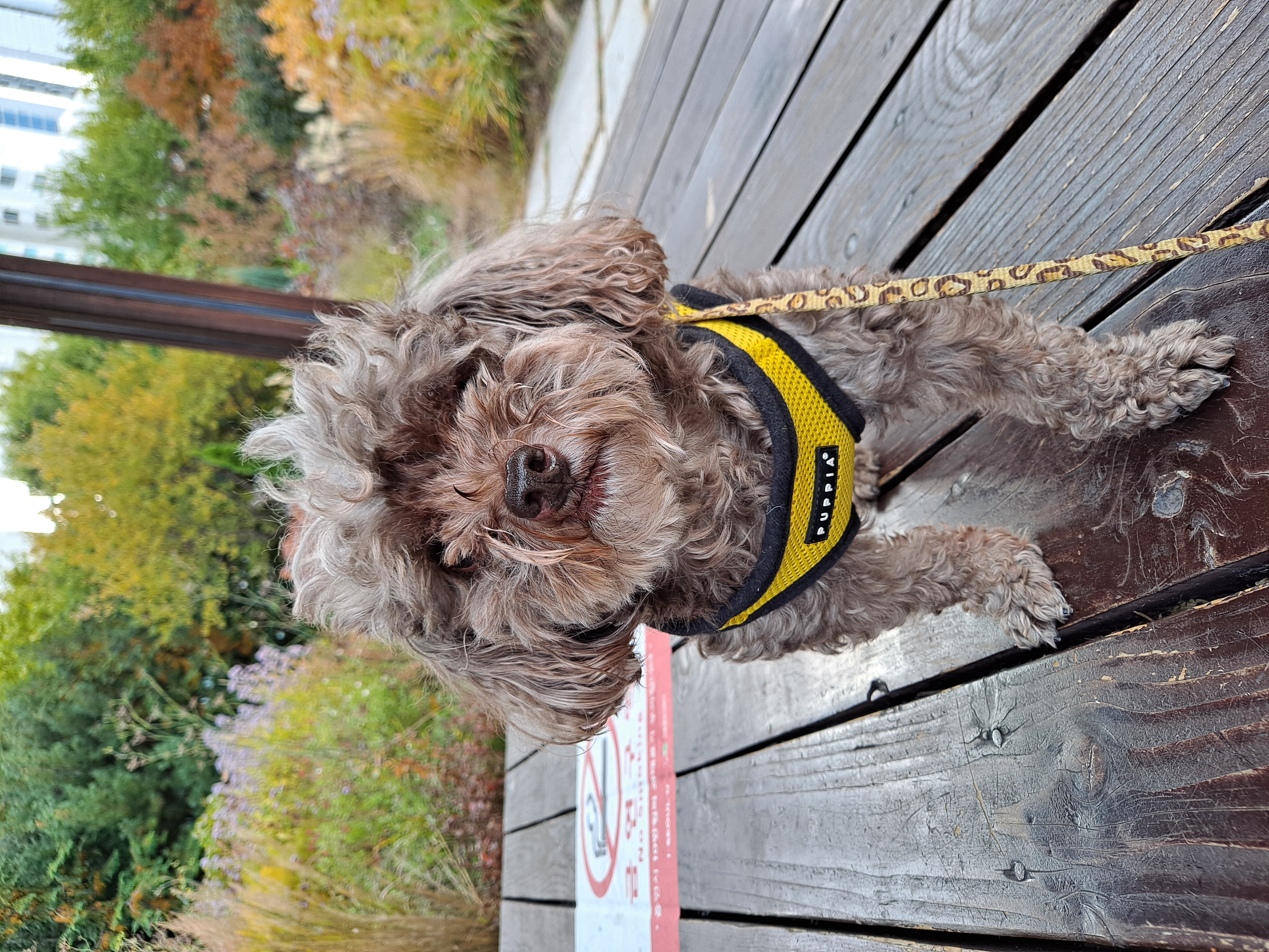 달래(시흥번식장 치멍24)잘 살고있어요