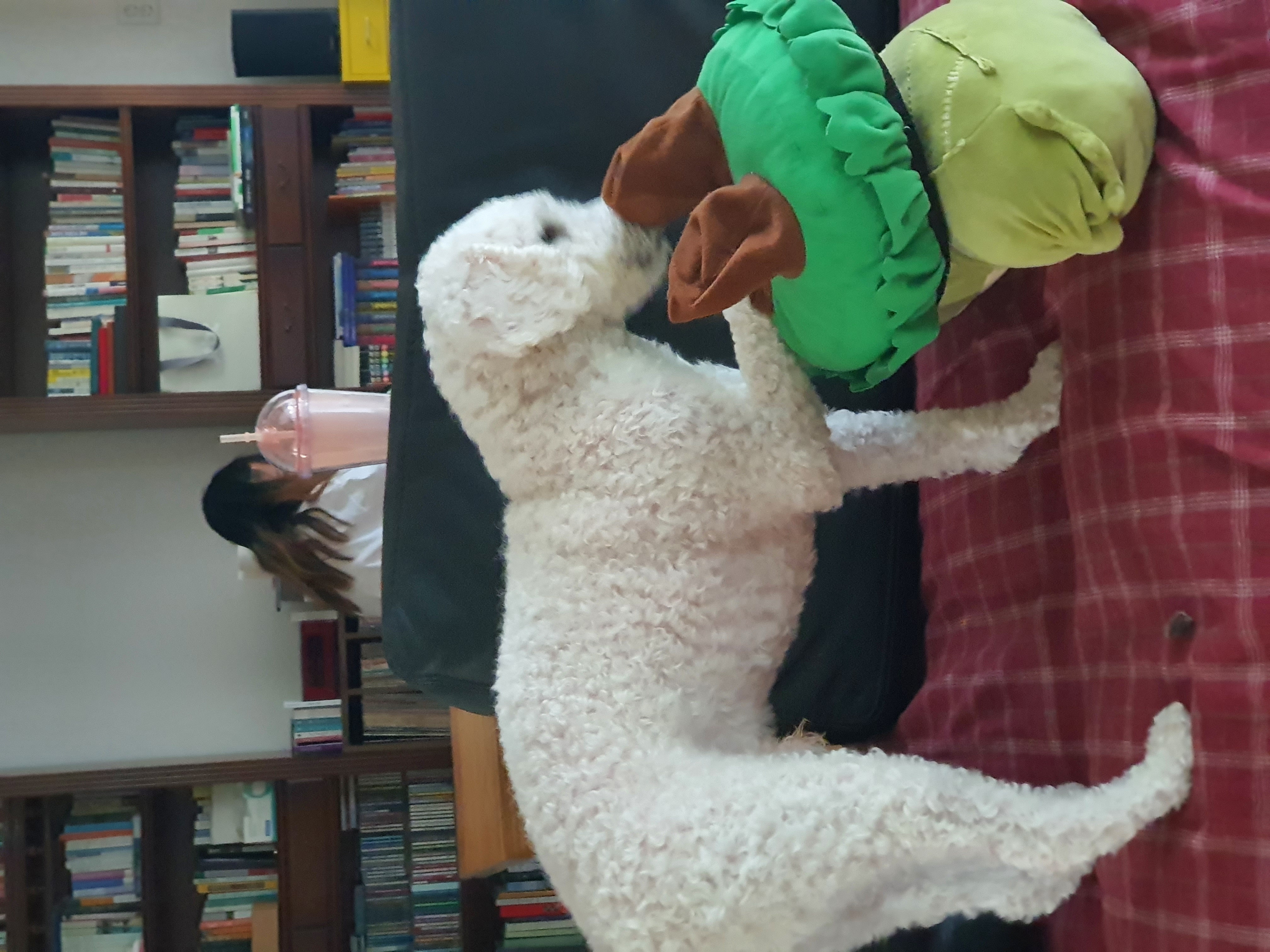 최고다(레일이) 1년 되었습니다^^~