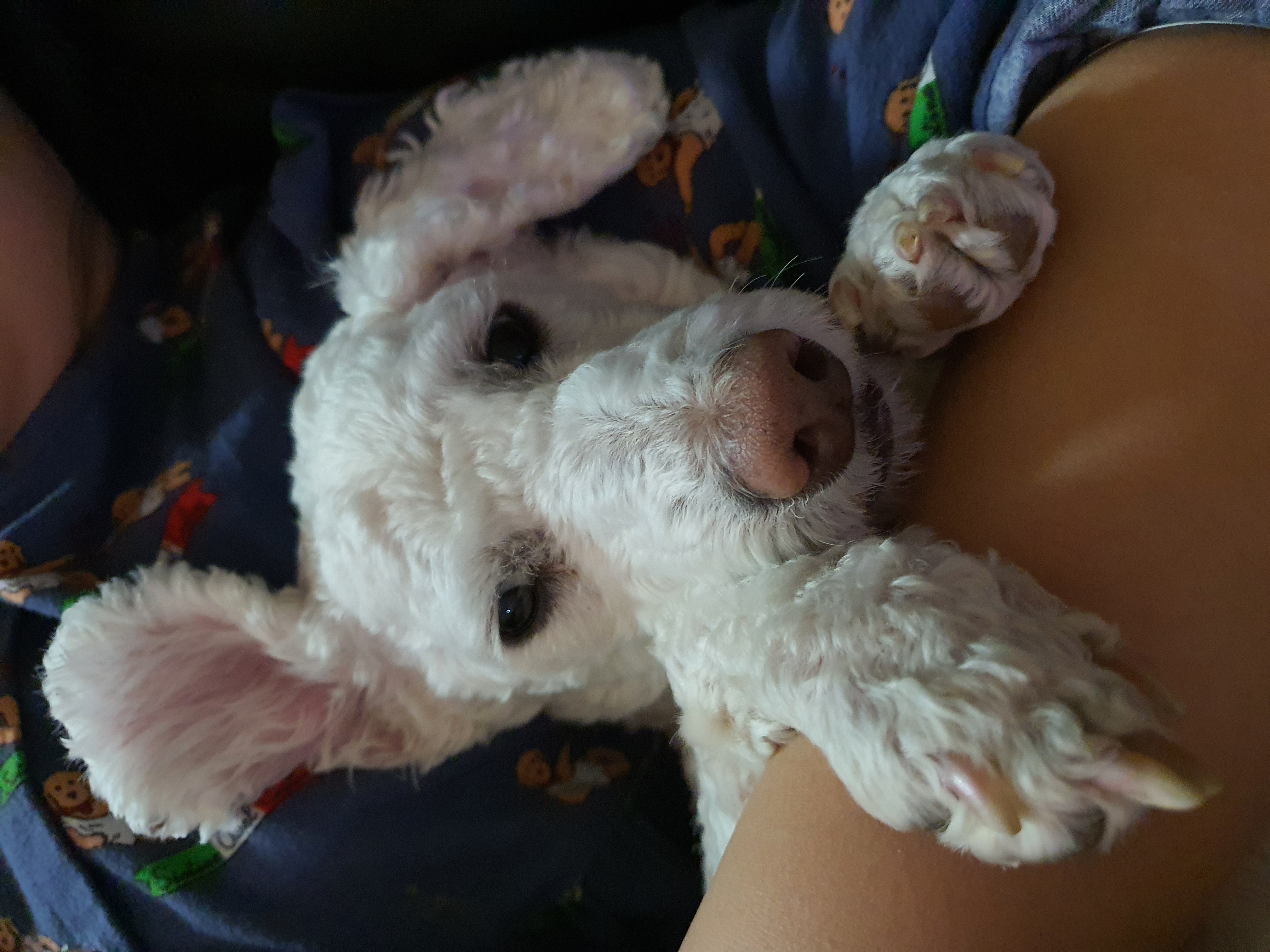 최고다(레일이) 1년 되었습니다^^~