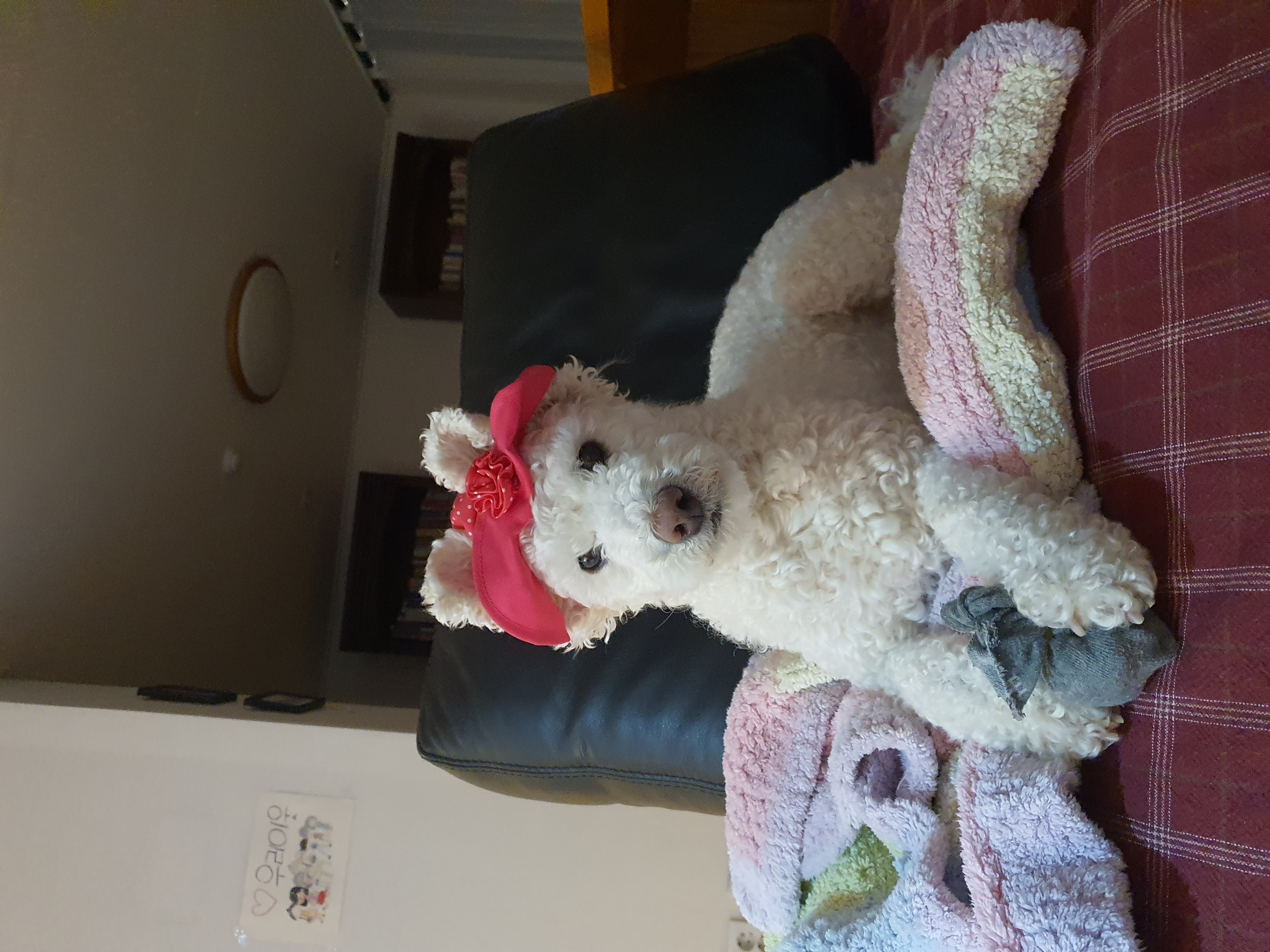 최고다(레일이) 1년 되었습니다^^~