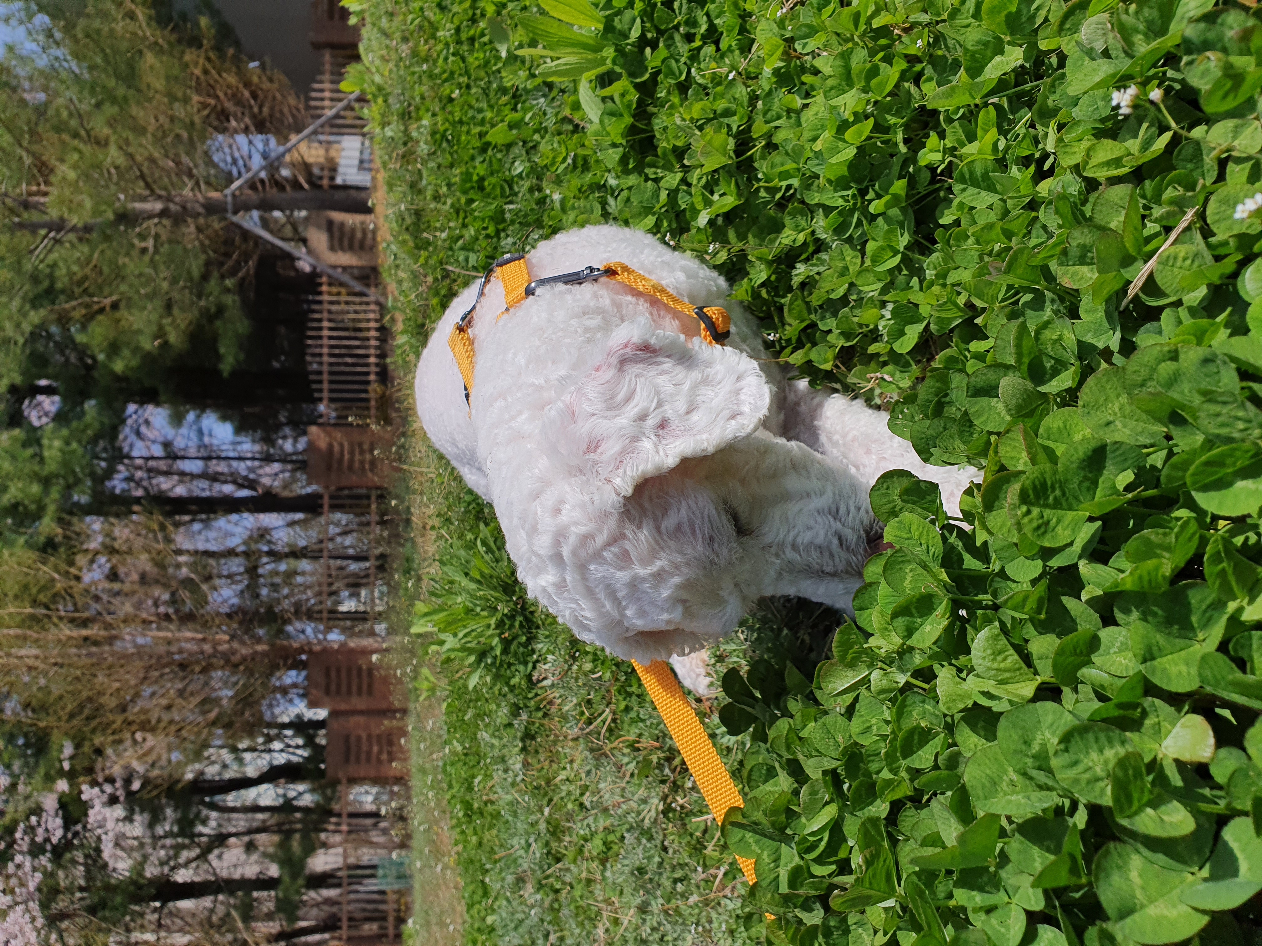 최고다(레일이) 1년 되었습니다^^~