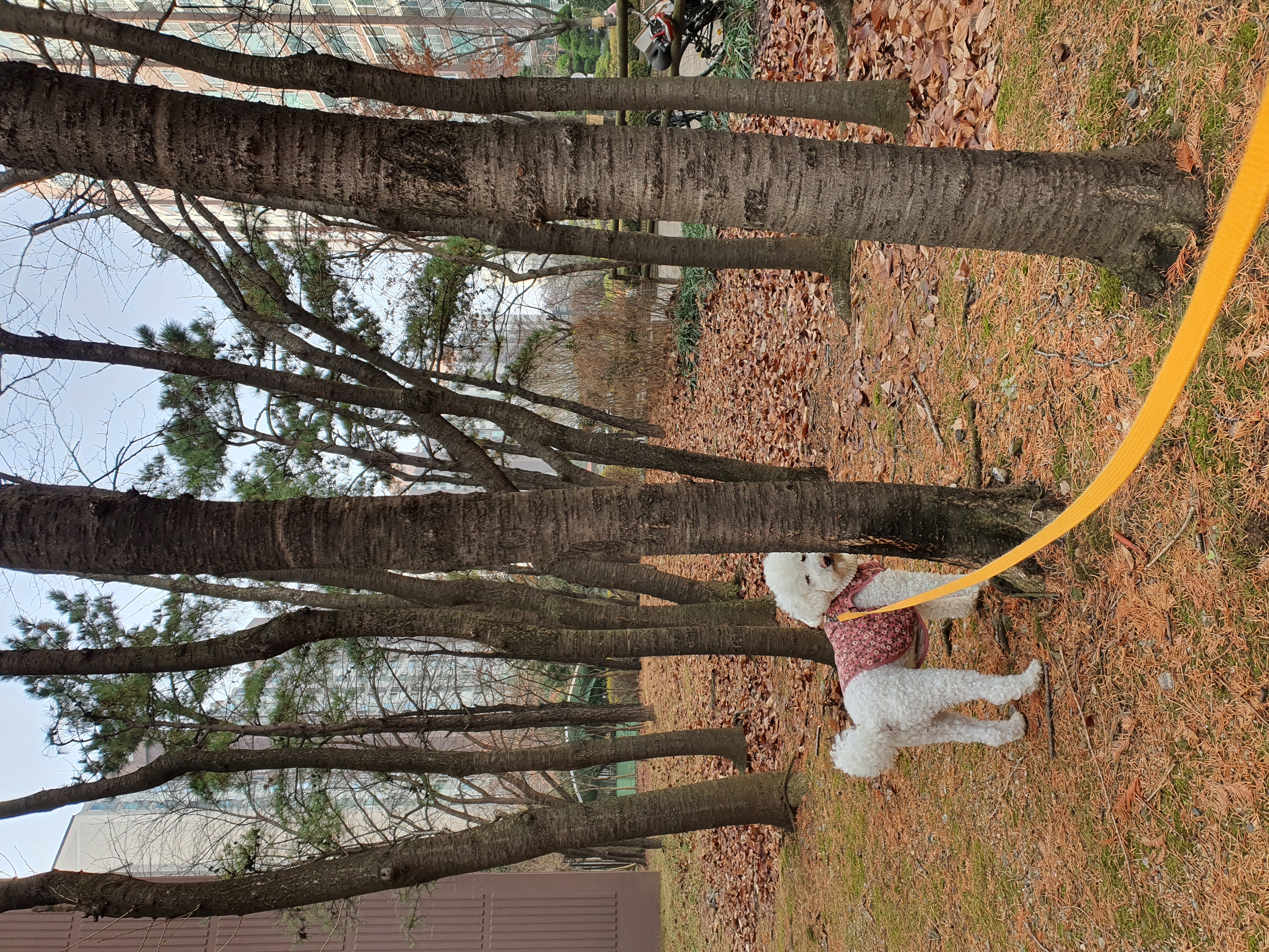 최고다(레일이) 1년 되었습니다^^~