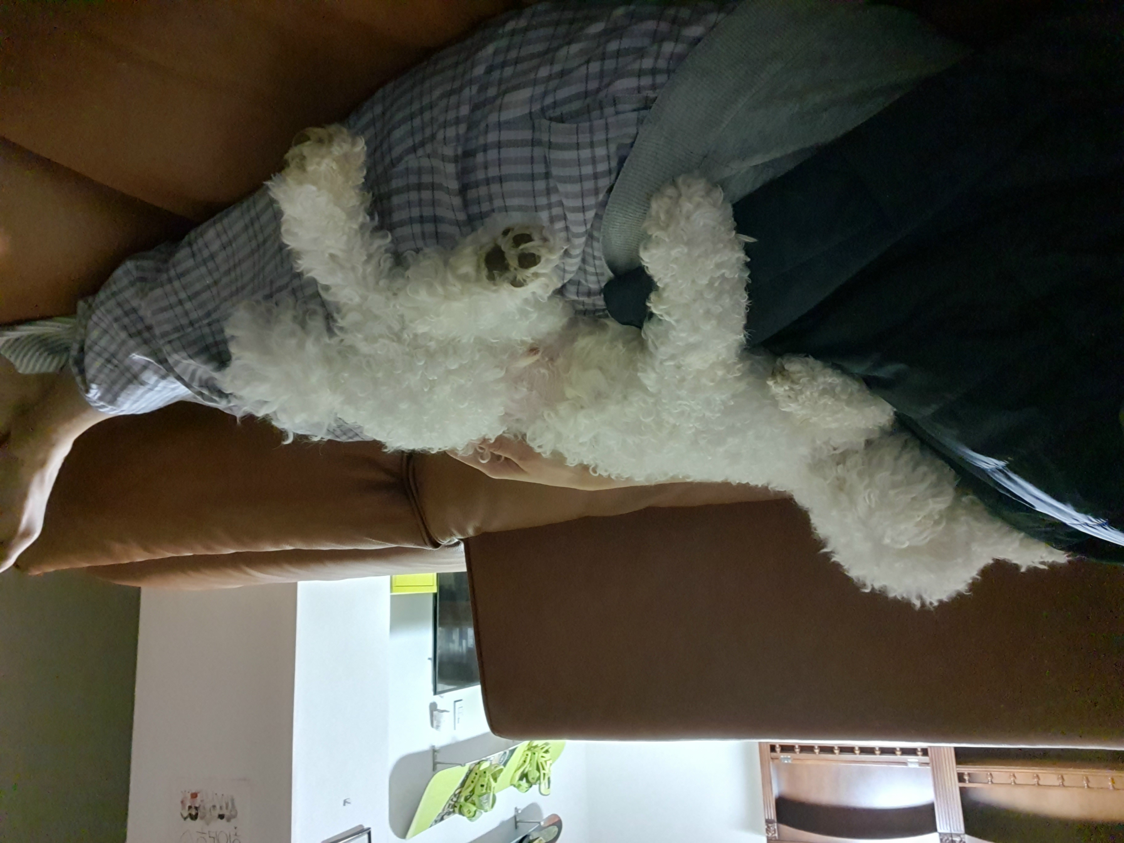 최고다(레일이) 1년 되었습니다^^~