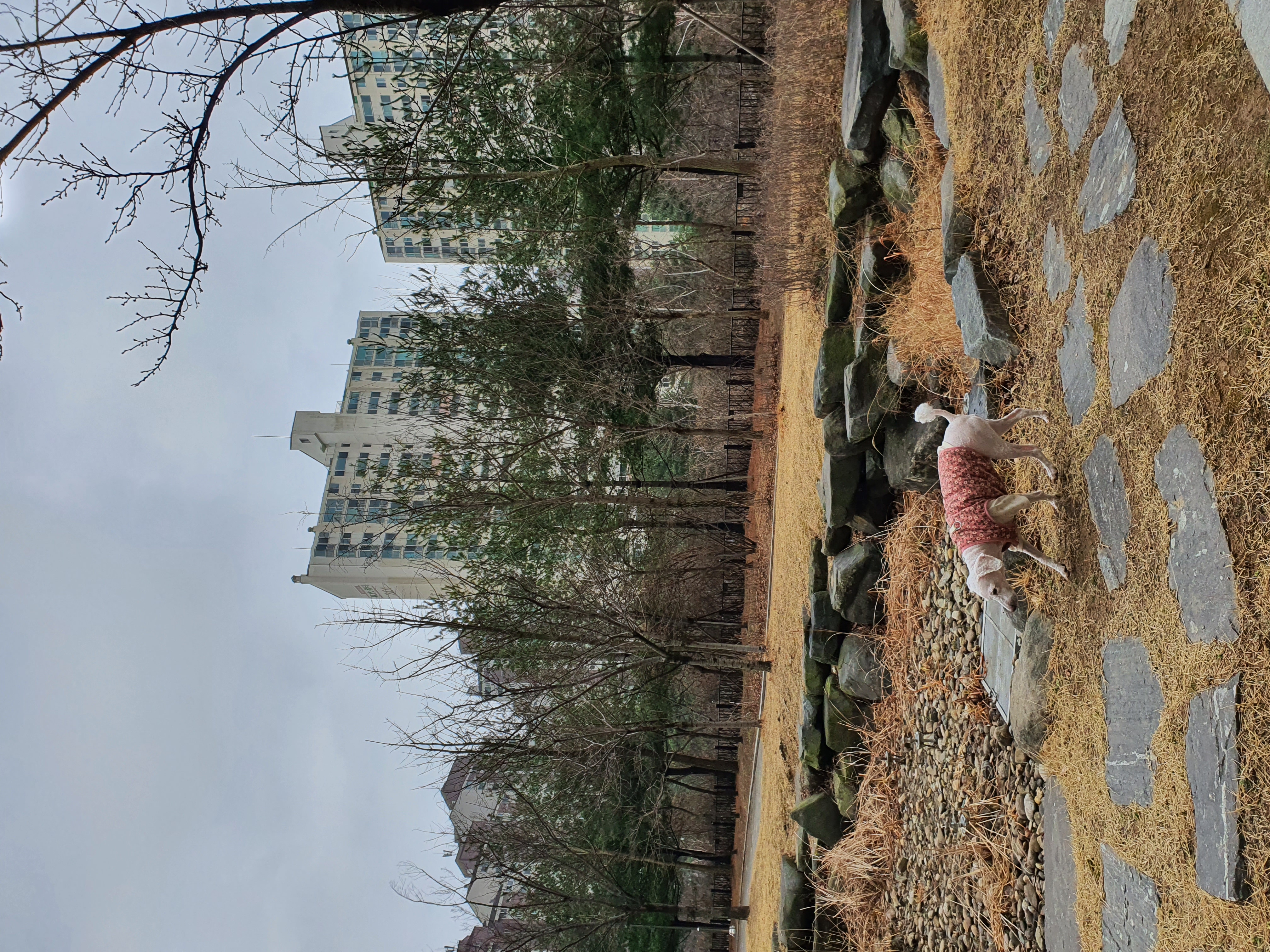 최고다(레일이) 1년 되었습니다^^~