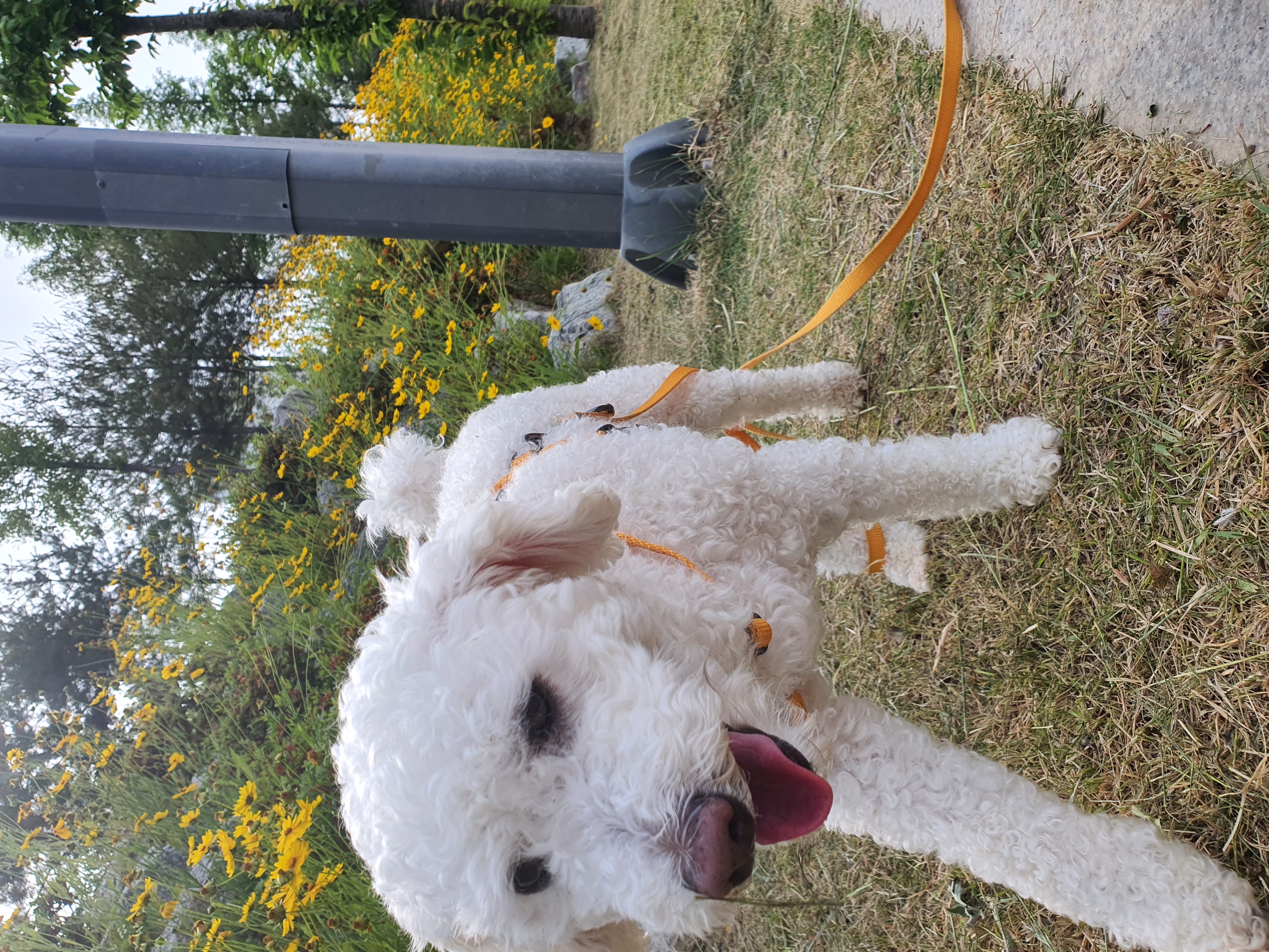 최고다(레일이) 1년 되었습니다^^~