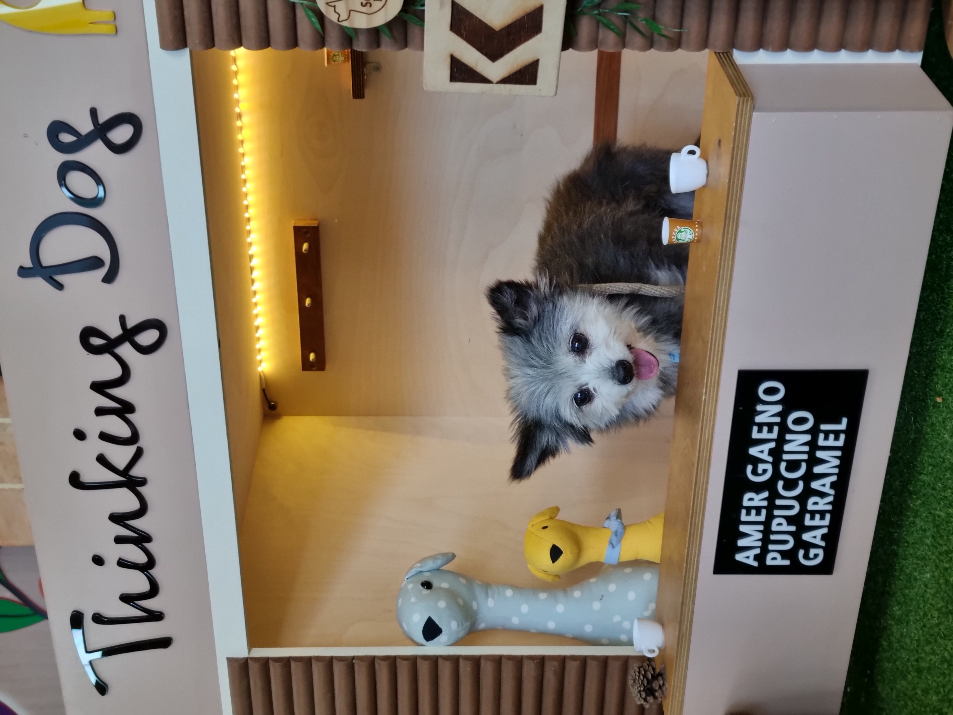 겨울이의 일상 (은이)