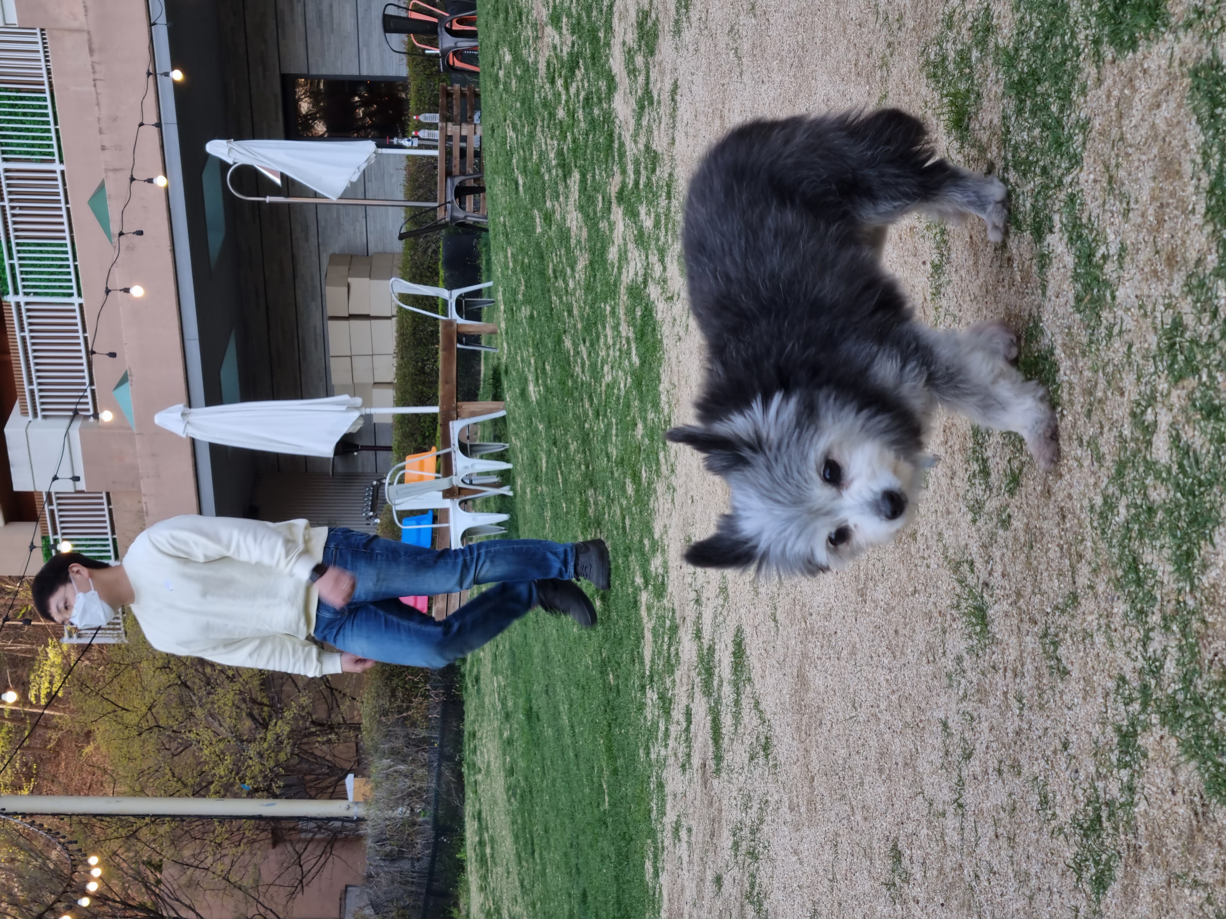 겨울이의 일상 (은이)